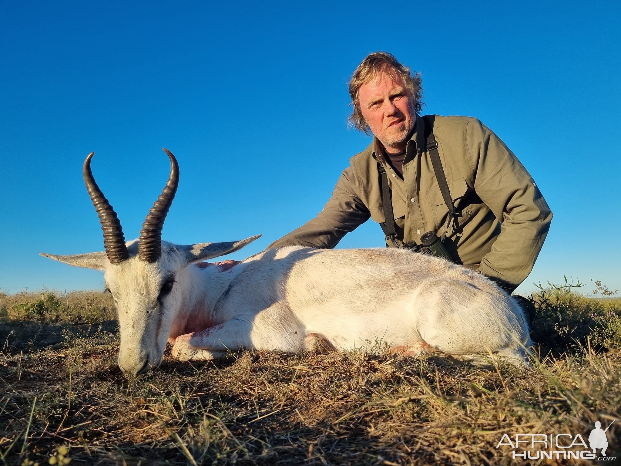 White Springbok Hunt Eastern Cape South Africa