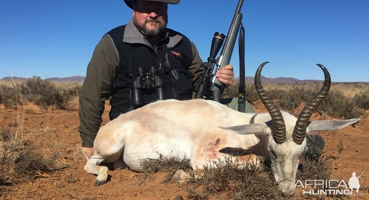 White Springbok Hunt Karoo South Africa