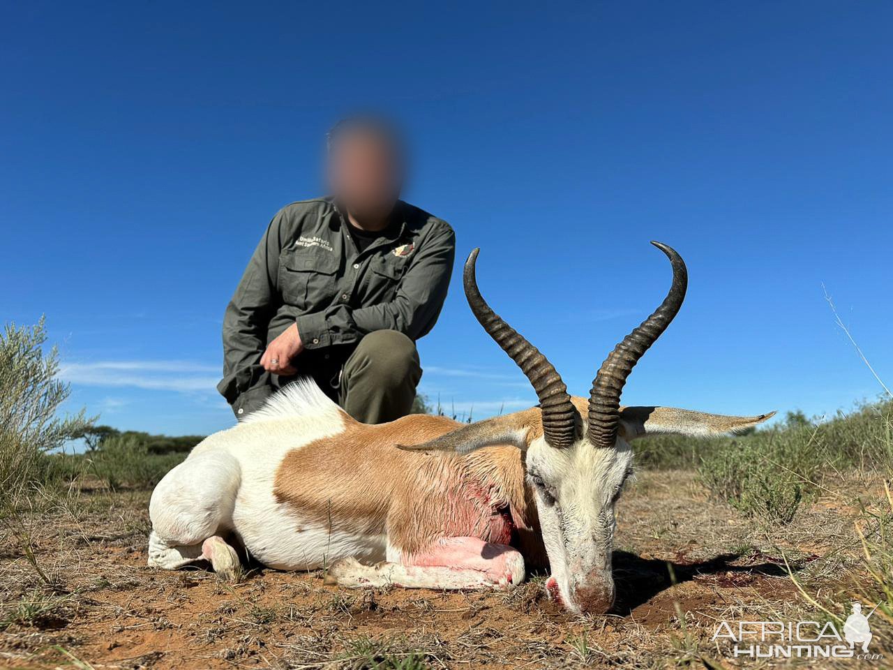 White Springbok Hunt South Africa