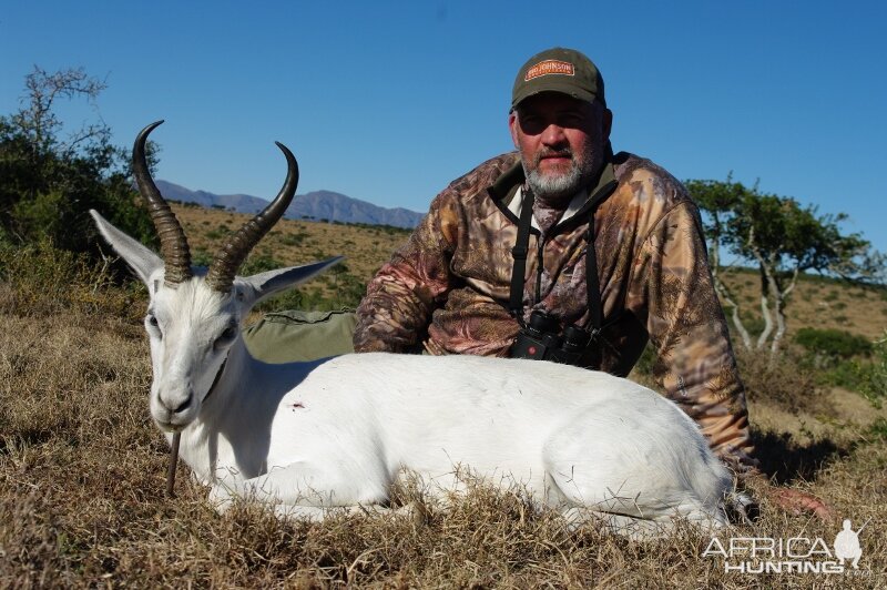 White Springbok Hunt South Africa