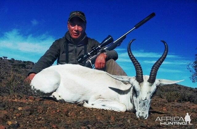 White Springbok Hunt South Africa