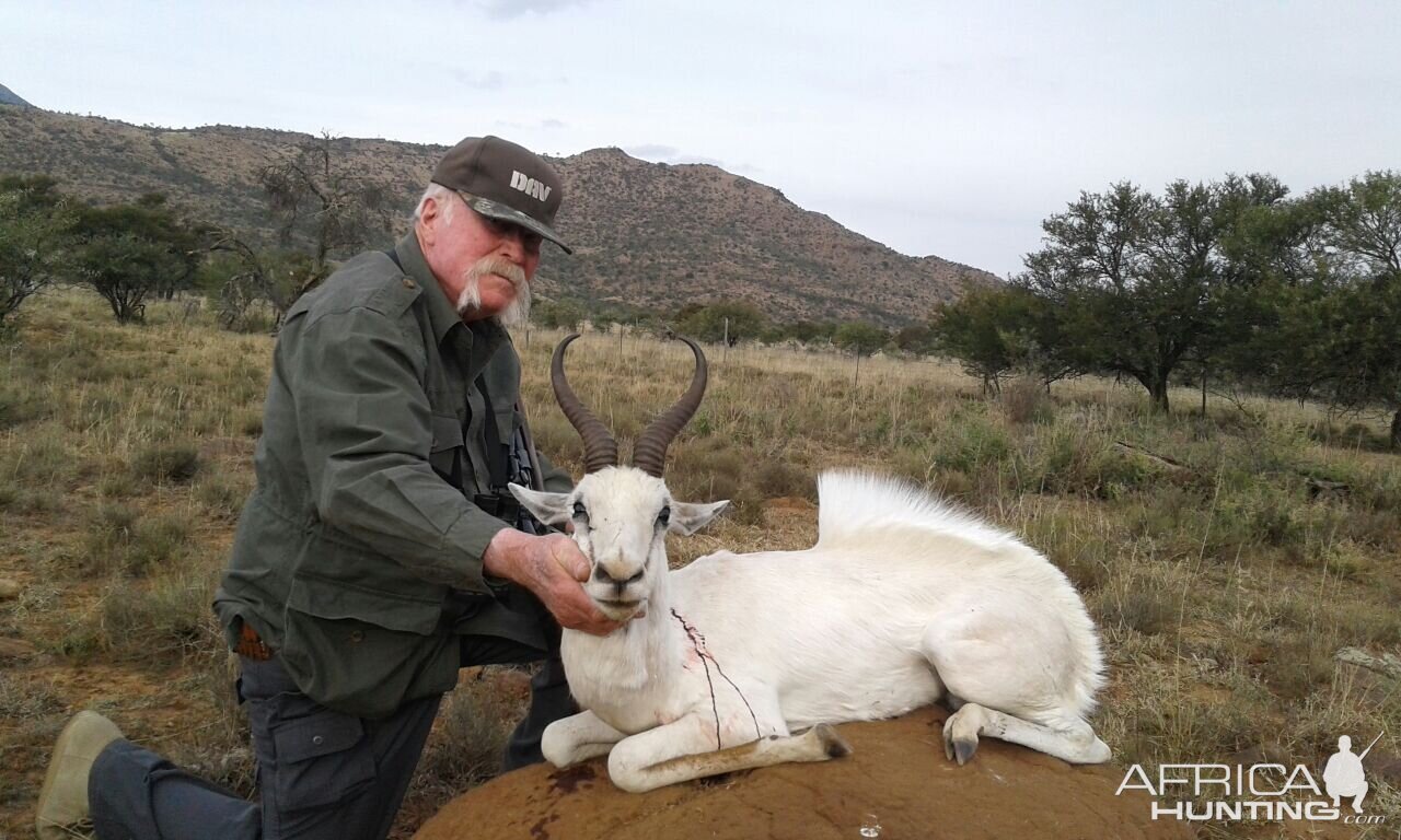 White Springbok Hunt South Africa