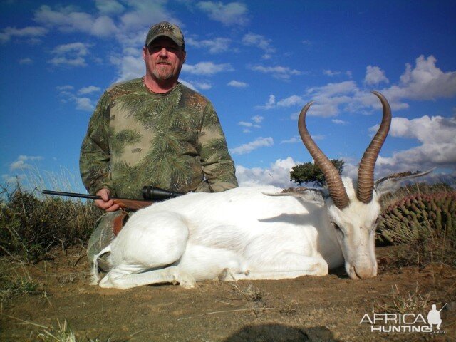 White Springbok Hunt