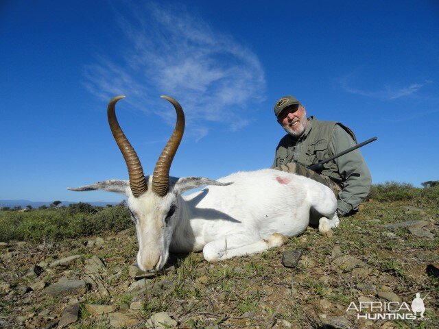 White Springbok Hunt