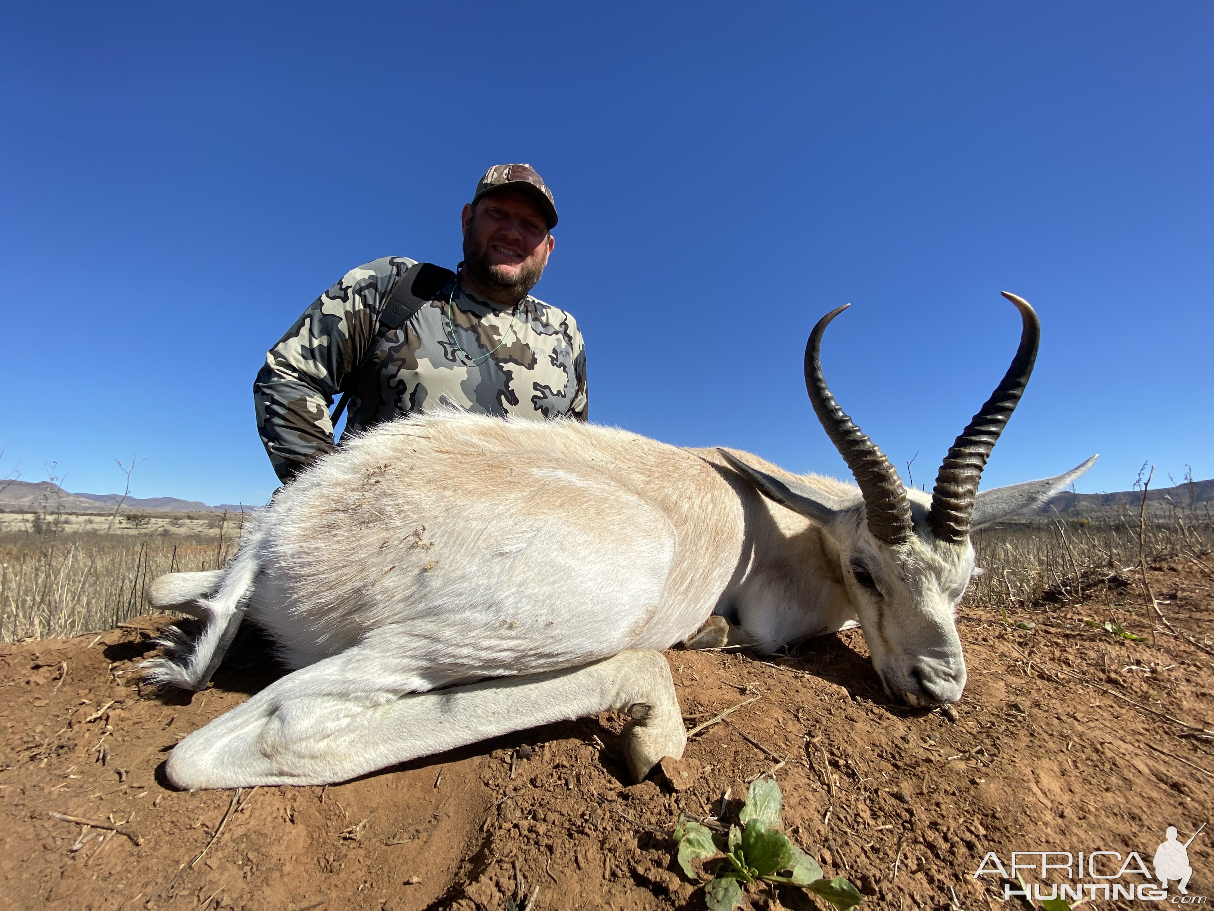 White Springbok Hunting South Africa