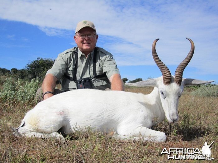 White Springbok