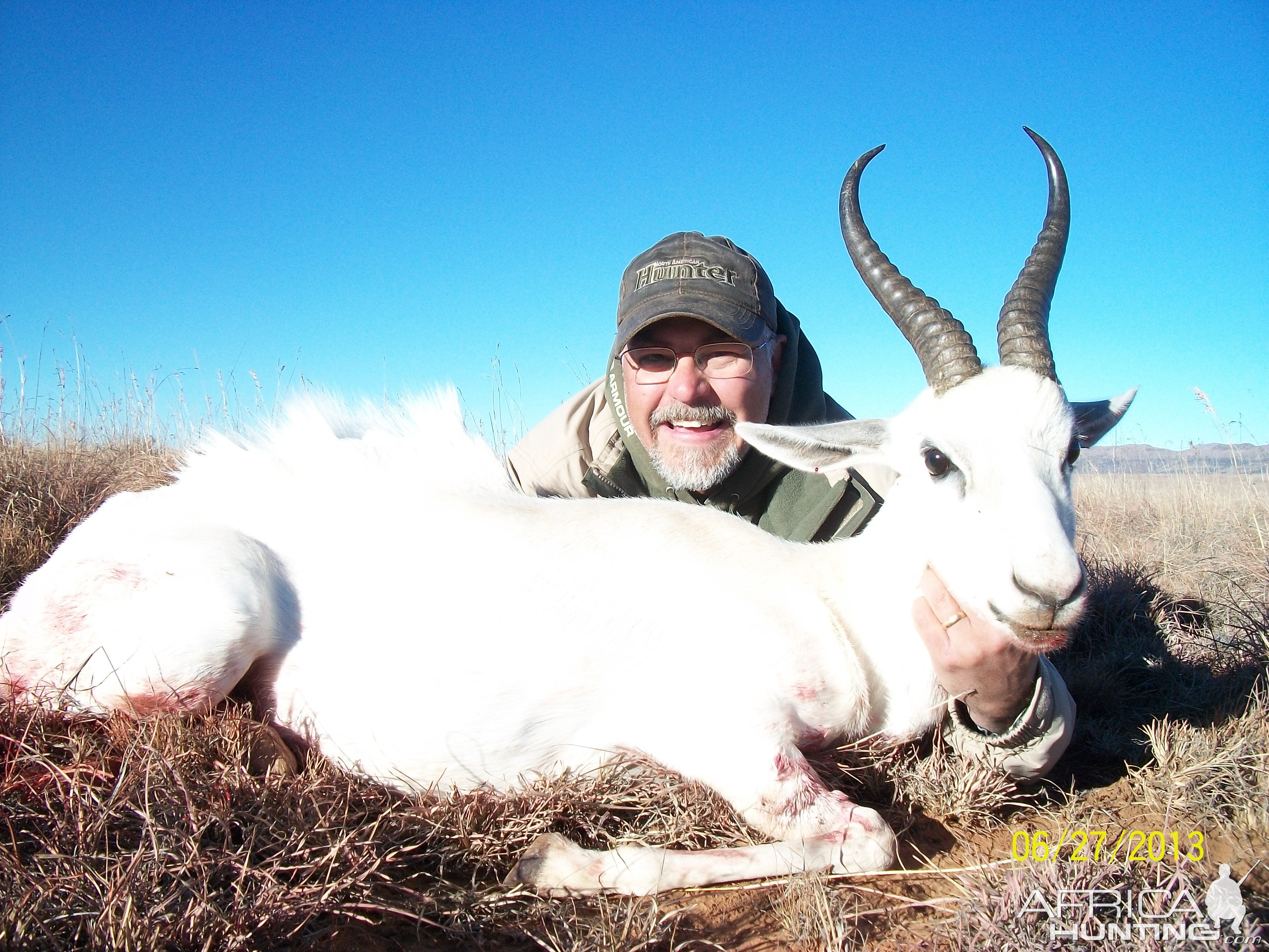 white springbok