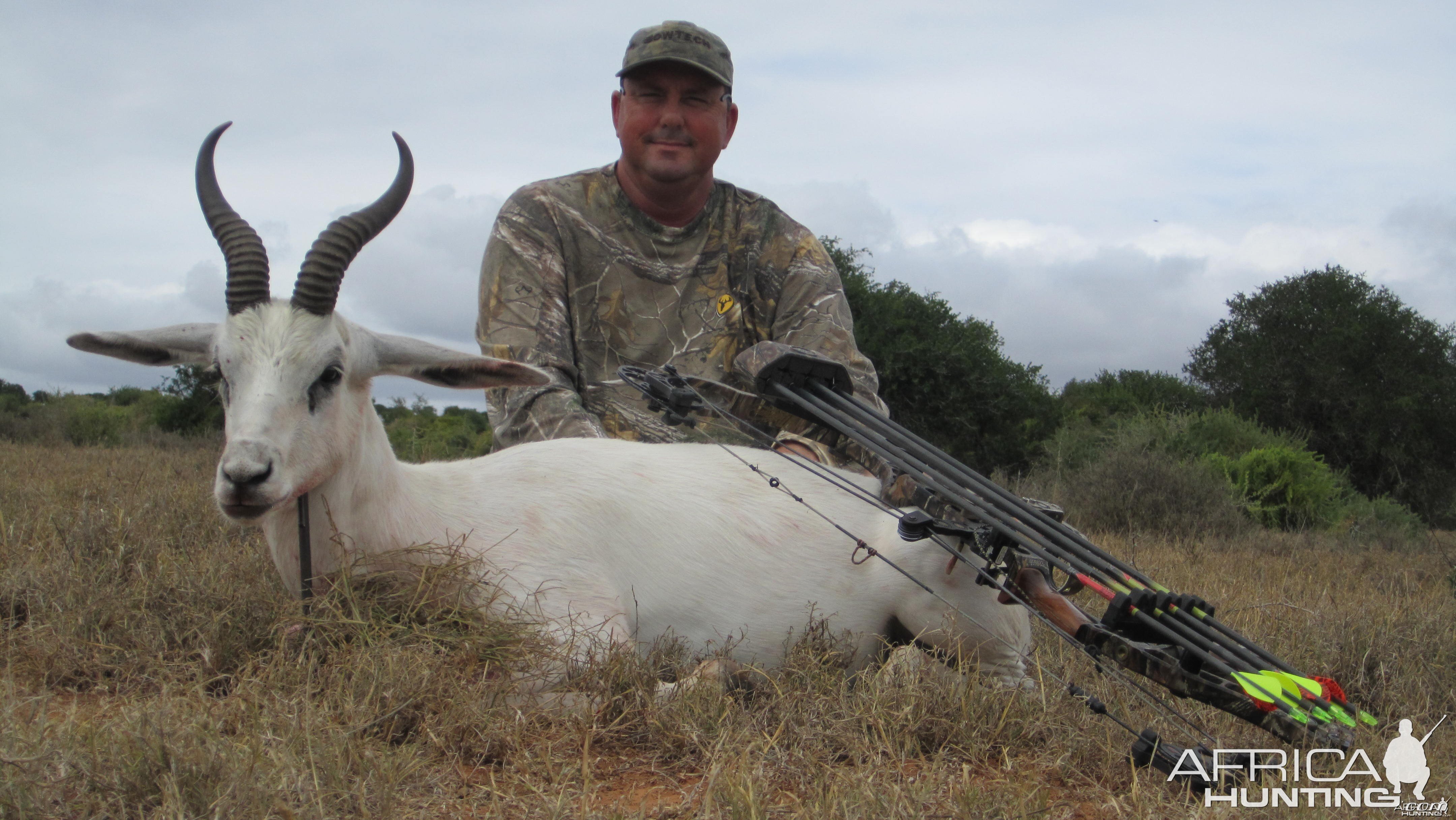 White Springbok