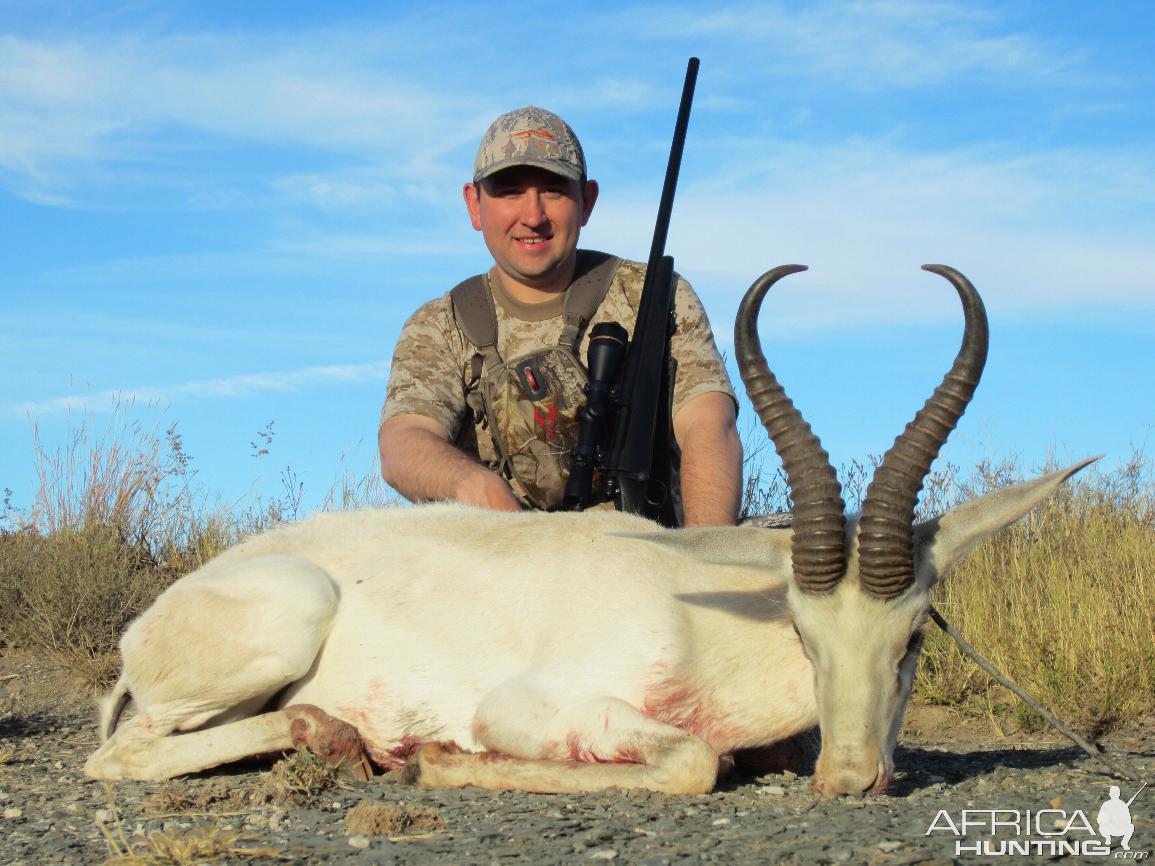 White springbok