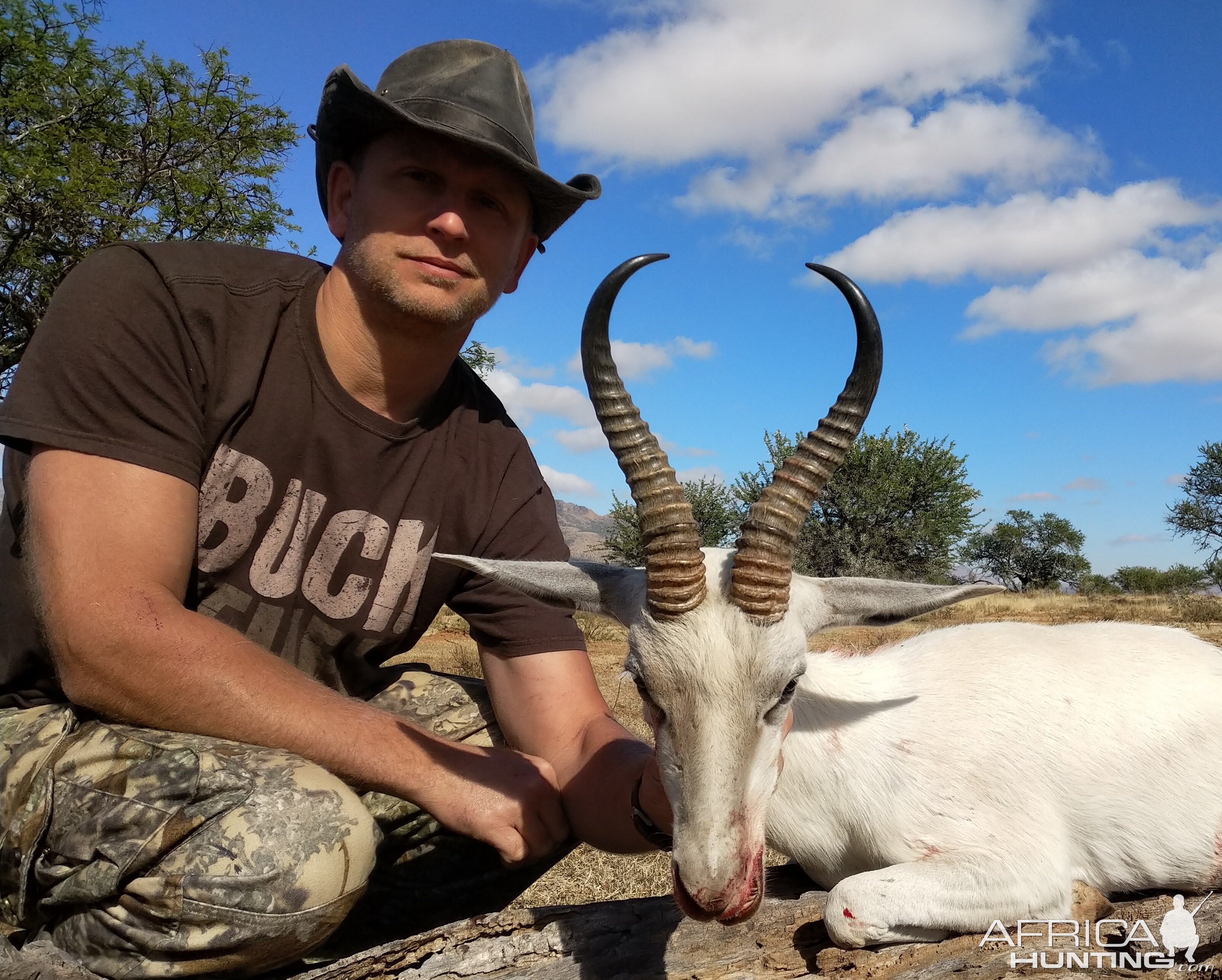 White Springbok