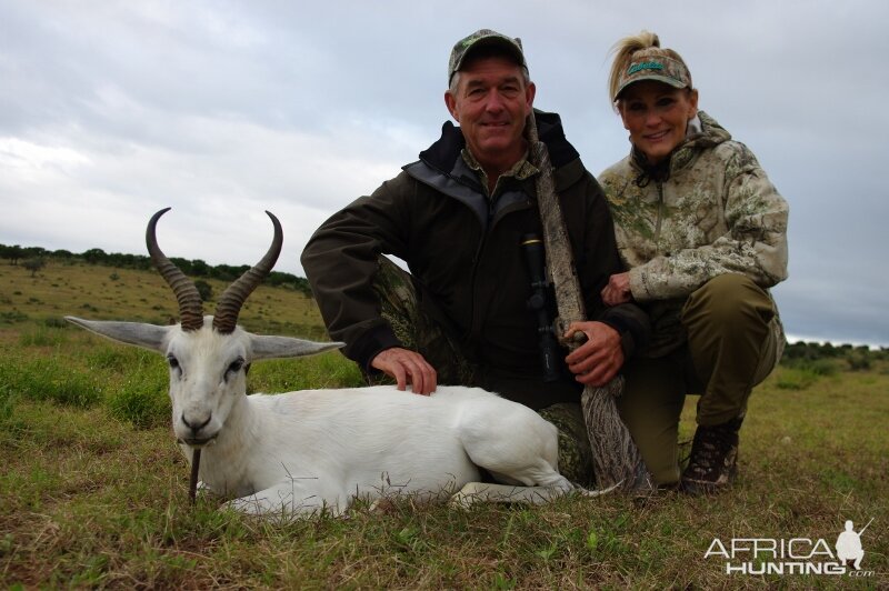 White Springbuck Hunt South Africa