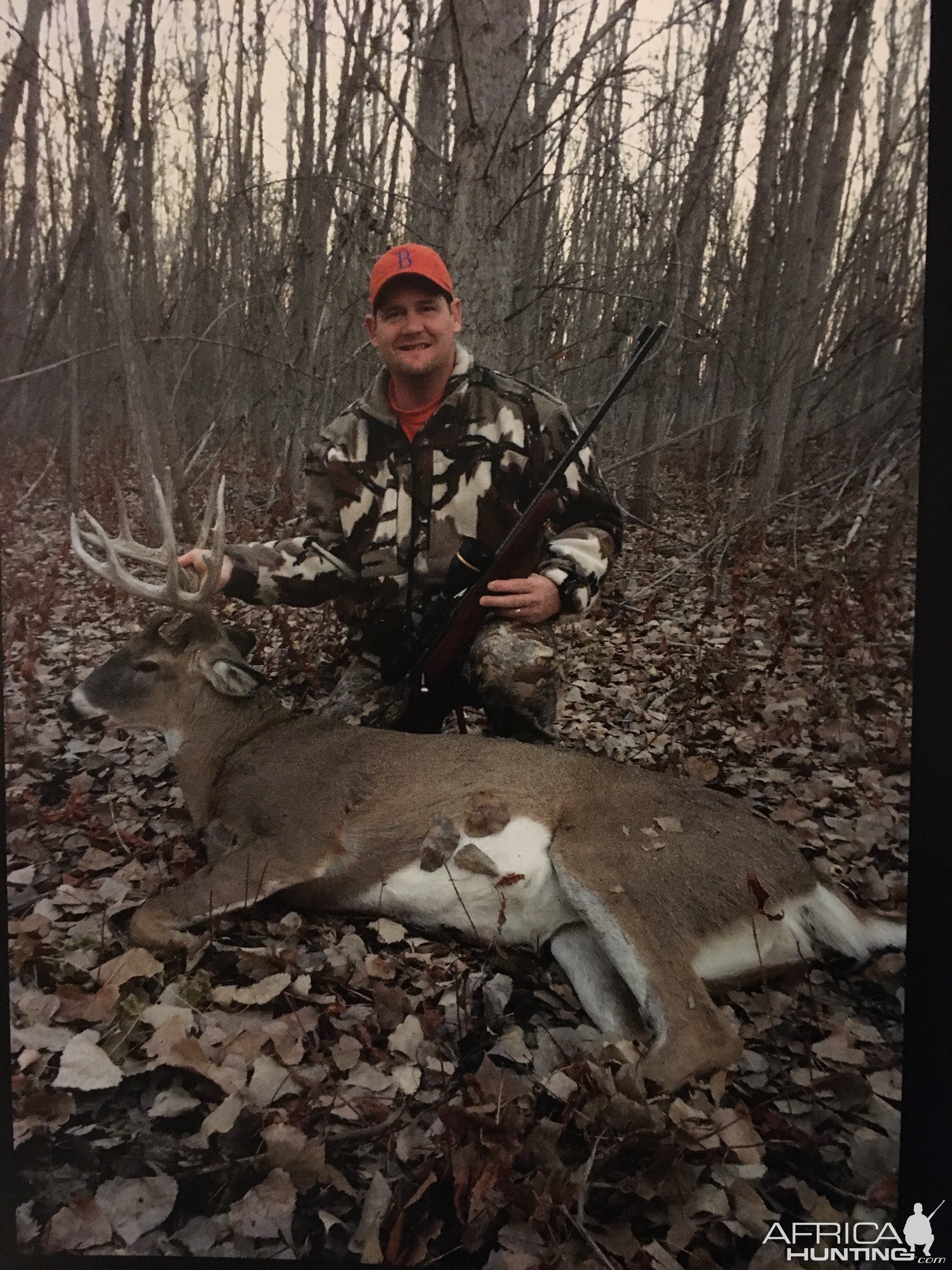 White-tailed Deer Hunt Texas USA