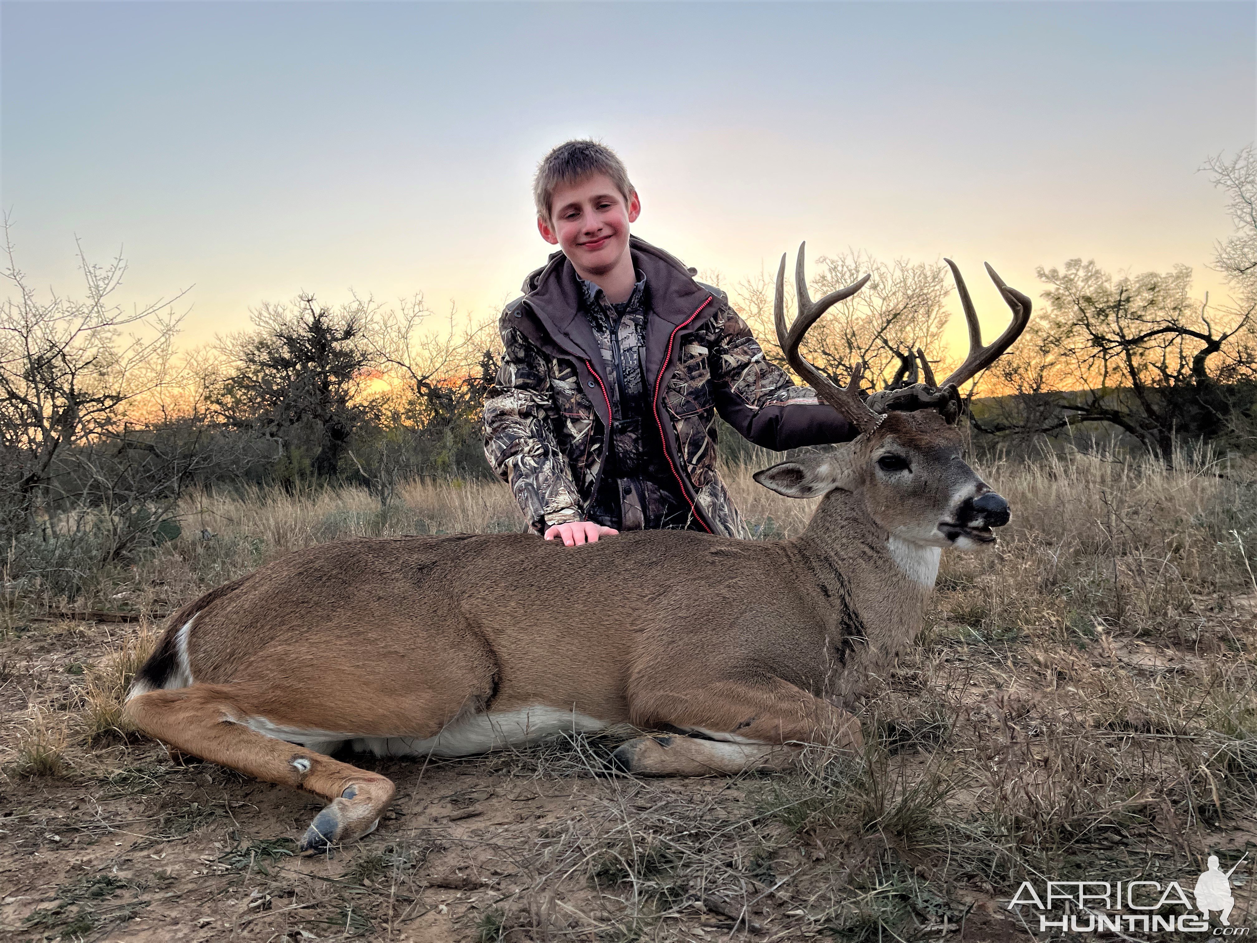 White-Tailed Deer Hunt Texas