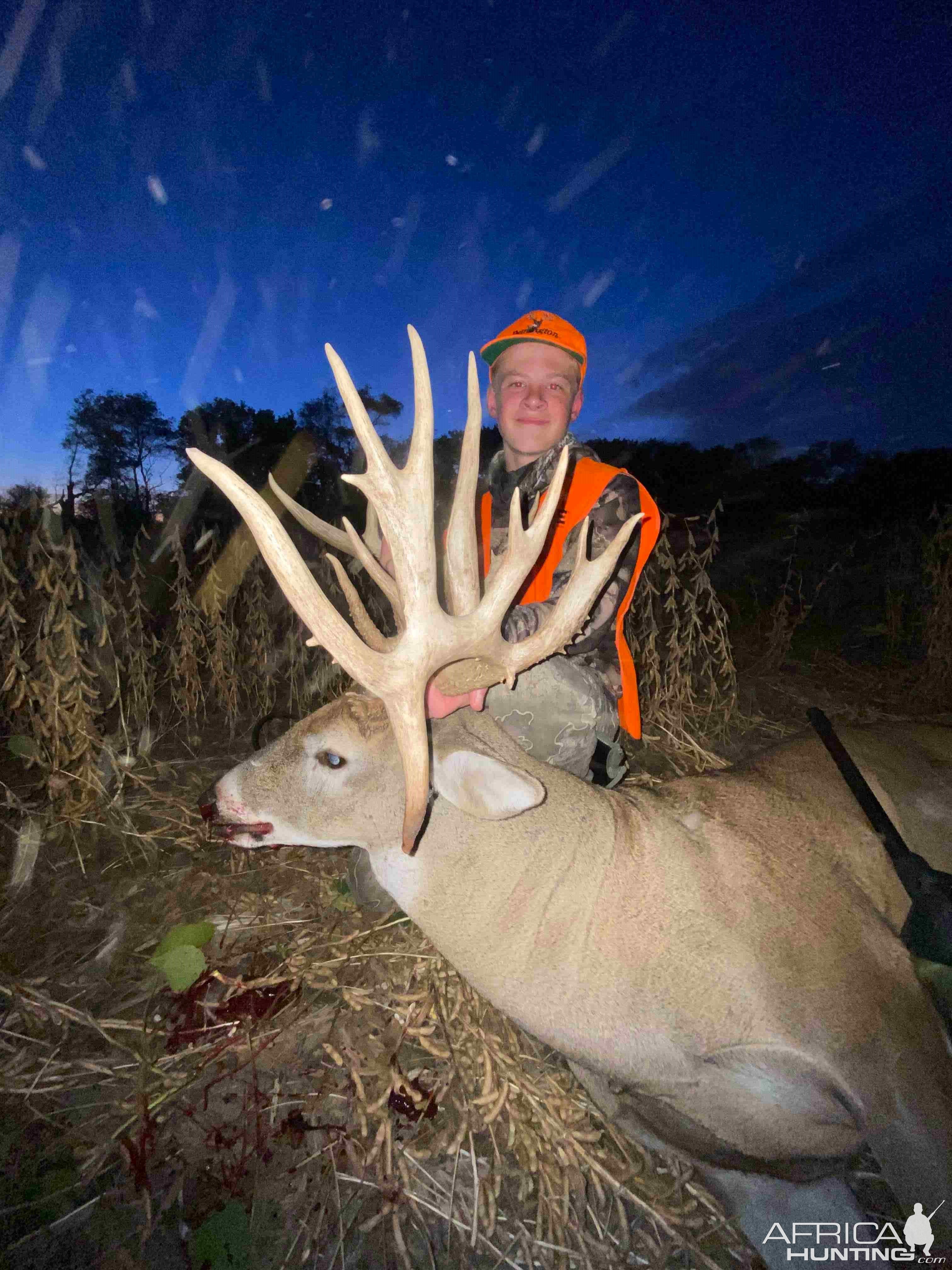 White-Tailed deer Hunting Illinois