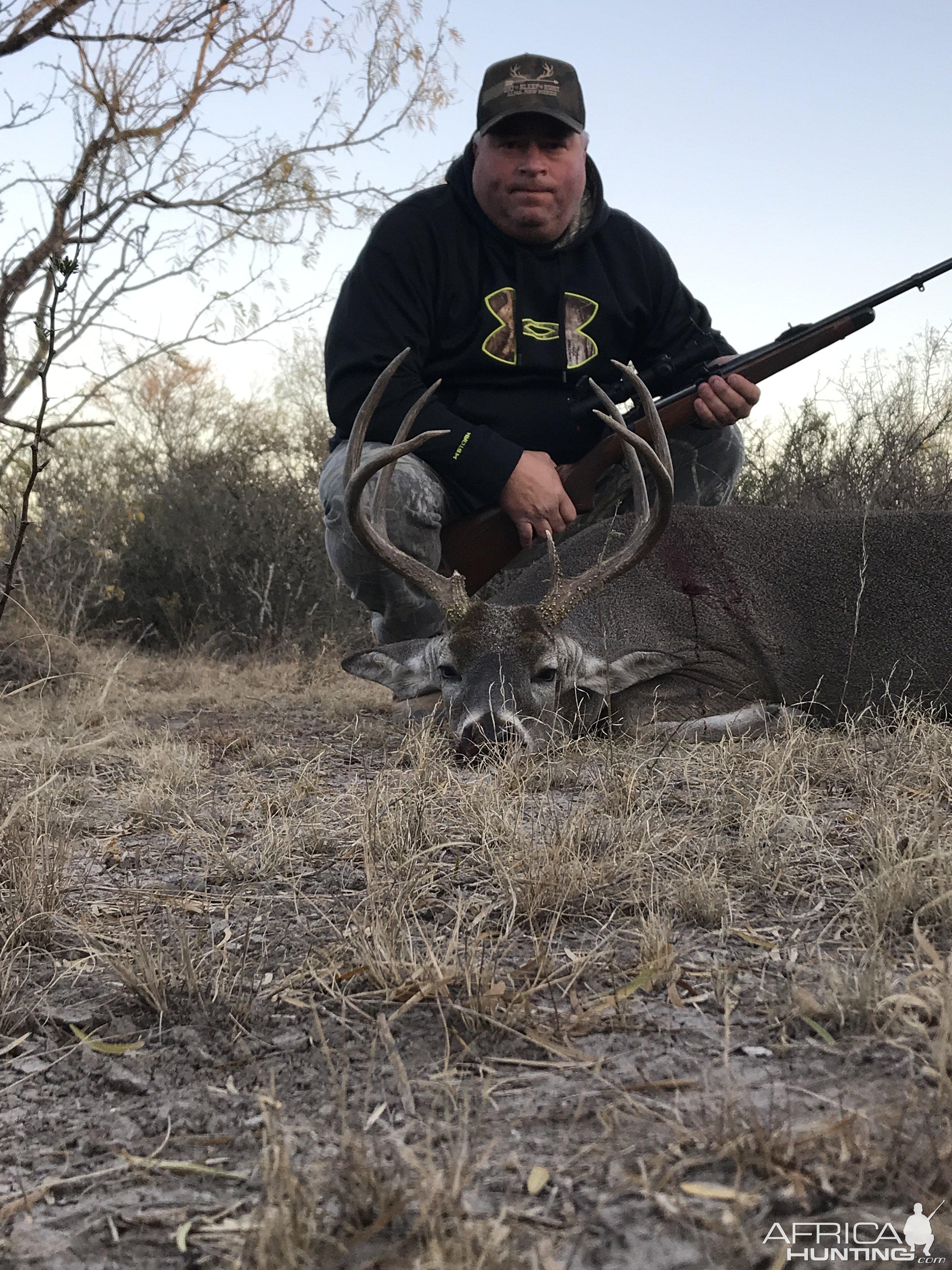 White-tailed Deer Hunting Texas USA