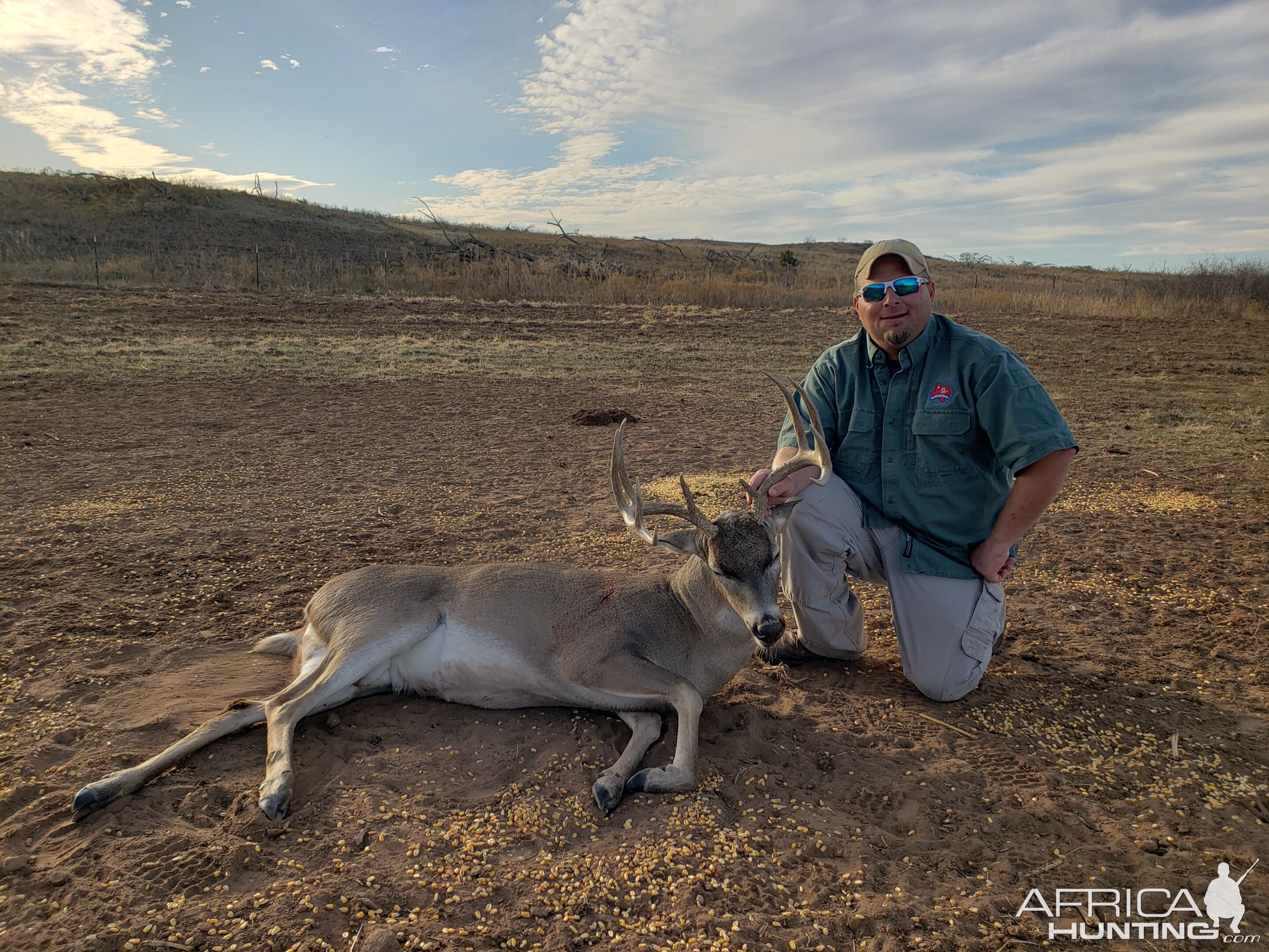 White-tailed Deer Hunting Texas USA