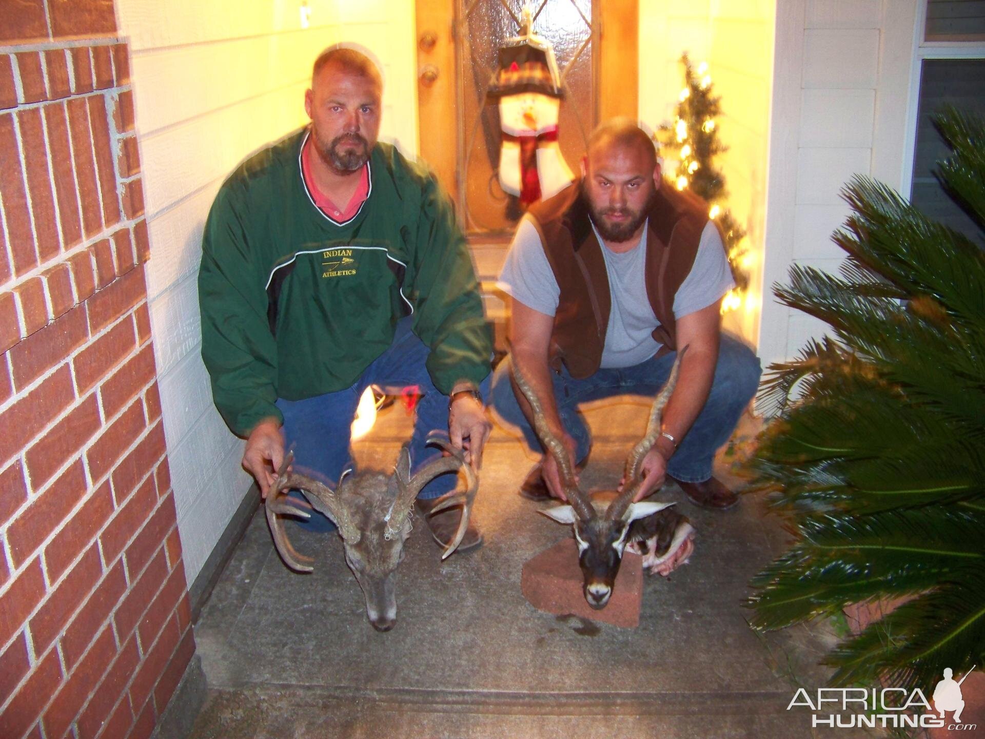 Whitetail and Blackbuck Hunt Texas