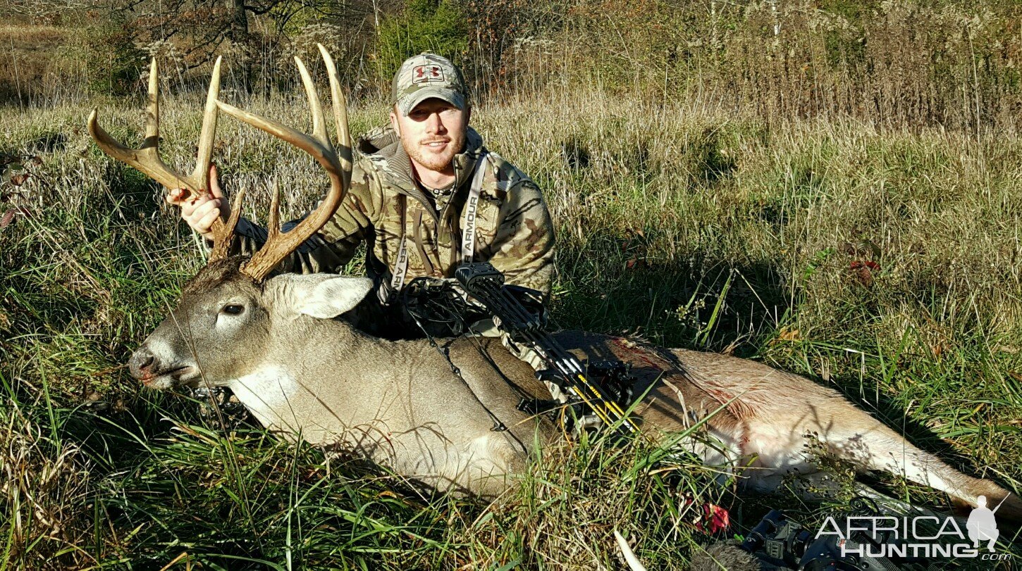 Whitetail Deer Bow Hunting Iowa