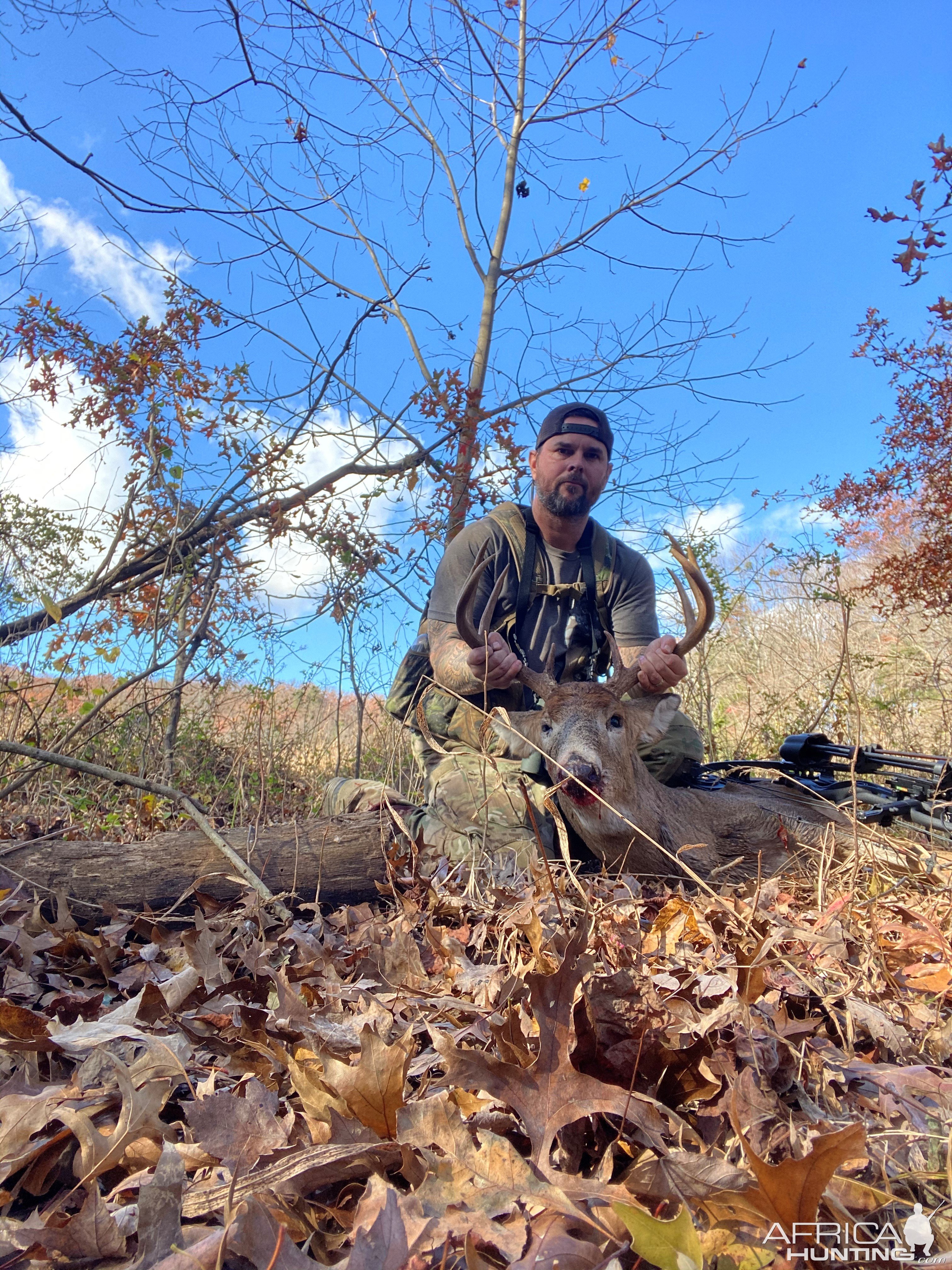 Whitetail Deer Bow Hunting Northern Virginia
