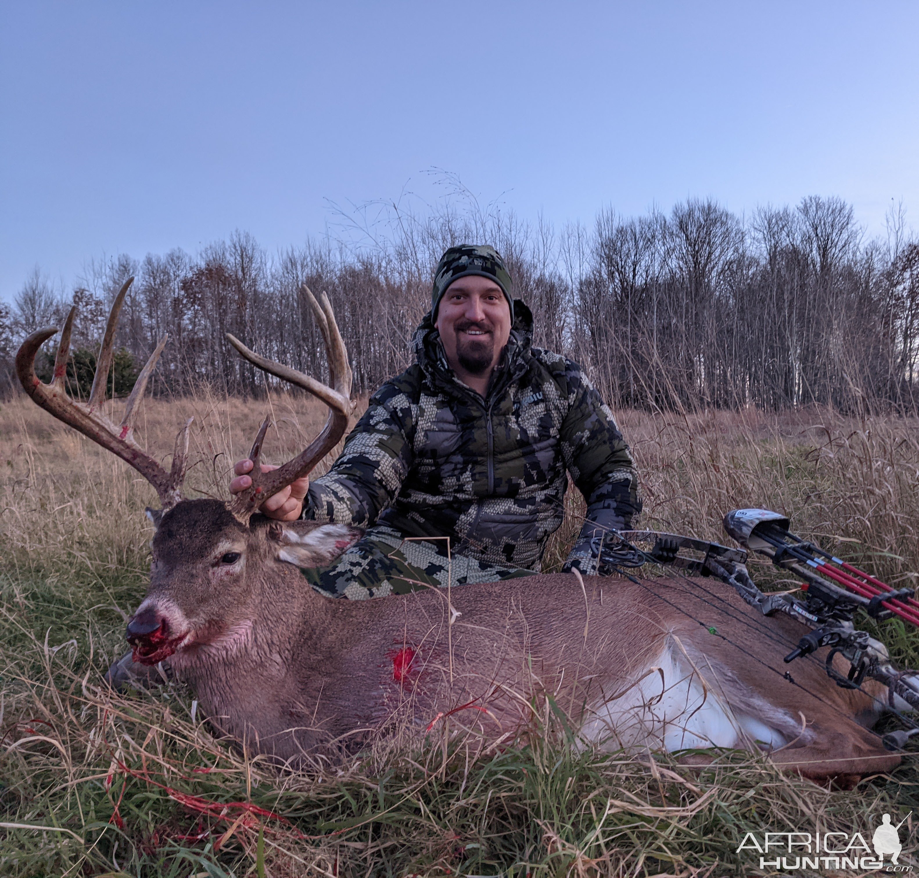 Whitetail Deer Bowhunt Canada