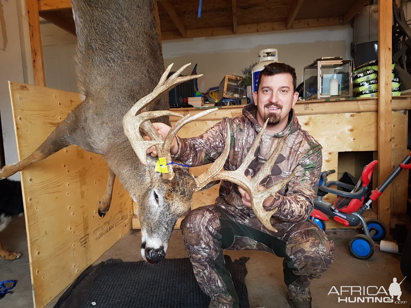 Whitetail Deer Bowhunting