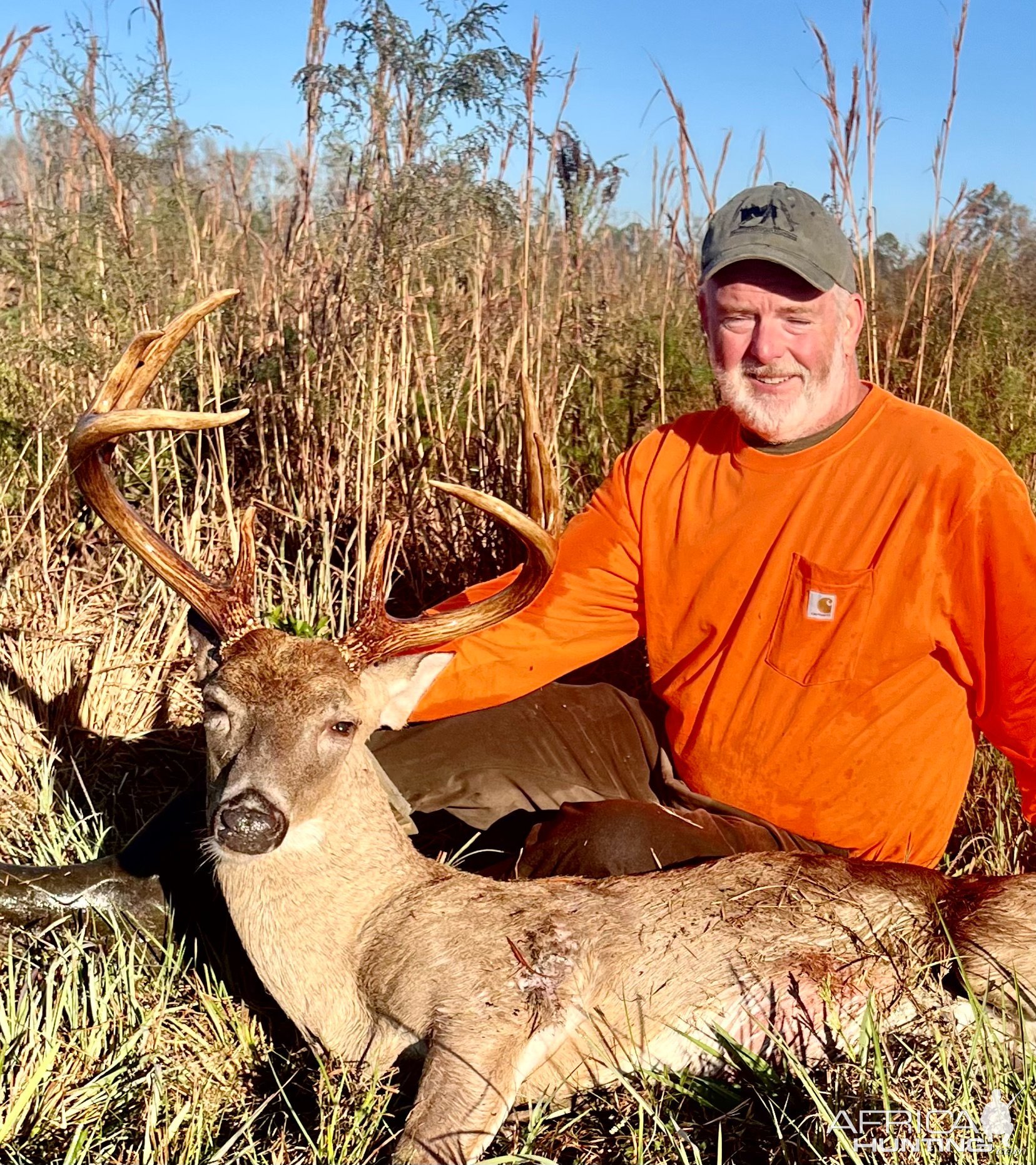 Whitetail Deer Hunt Georgia