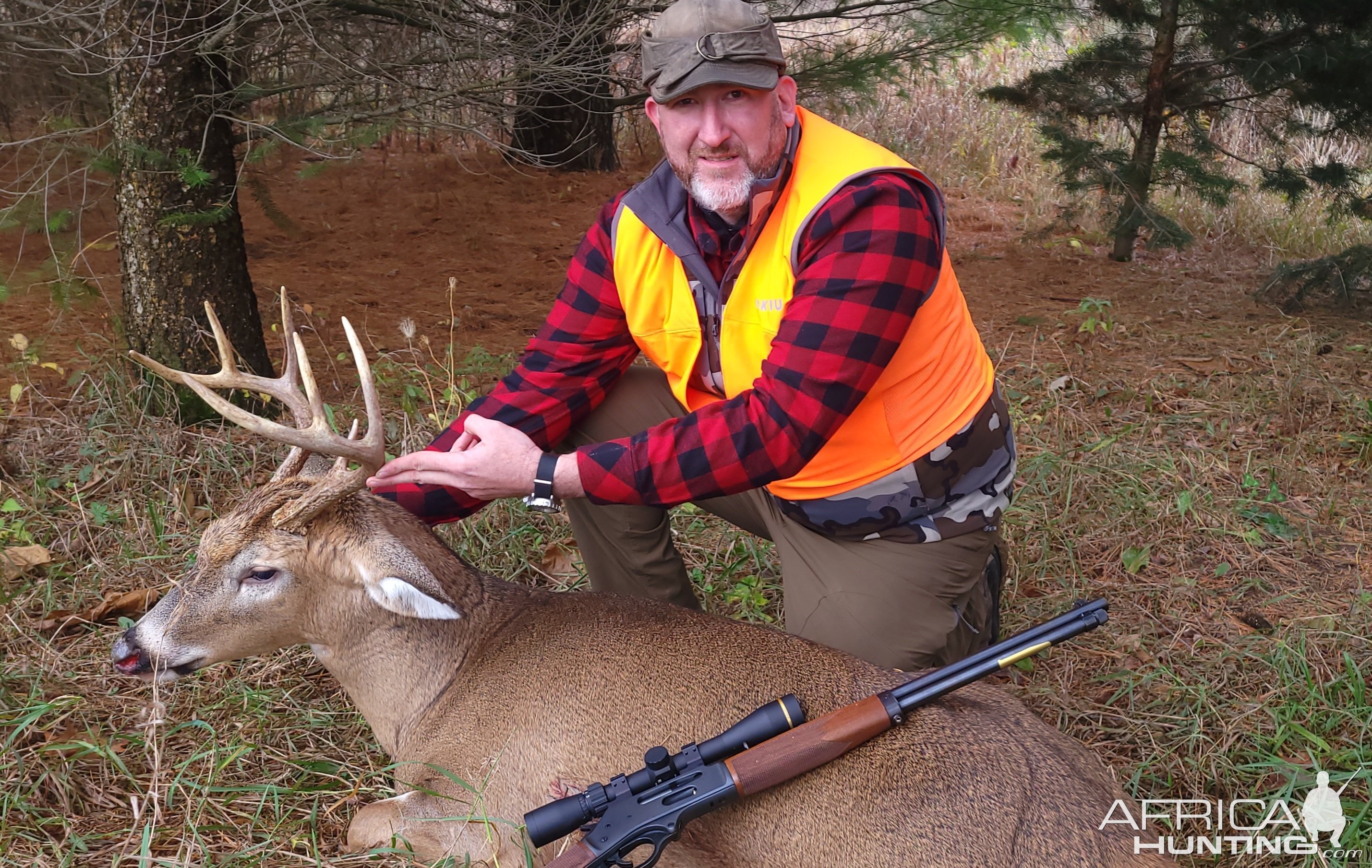 Whitetail Deer Hunt Michigan