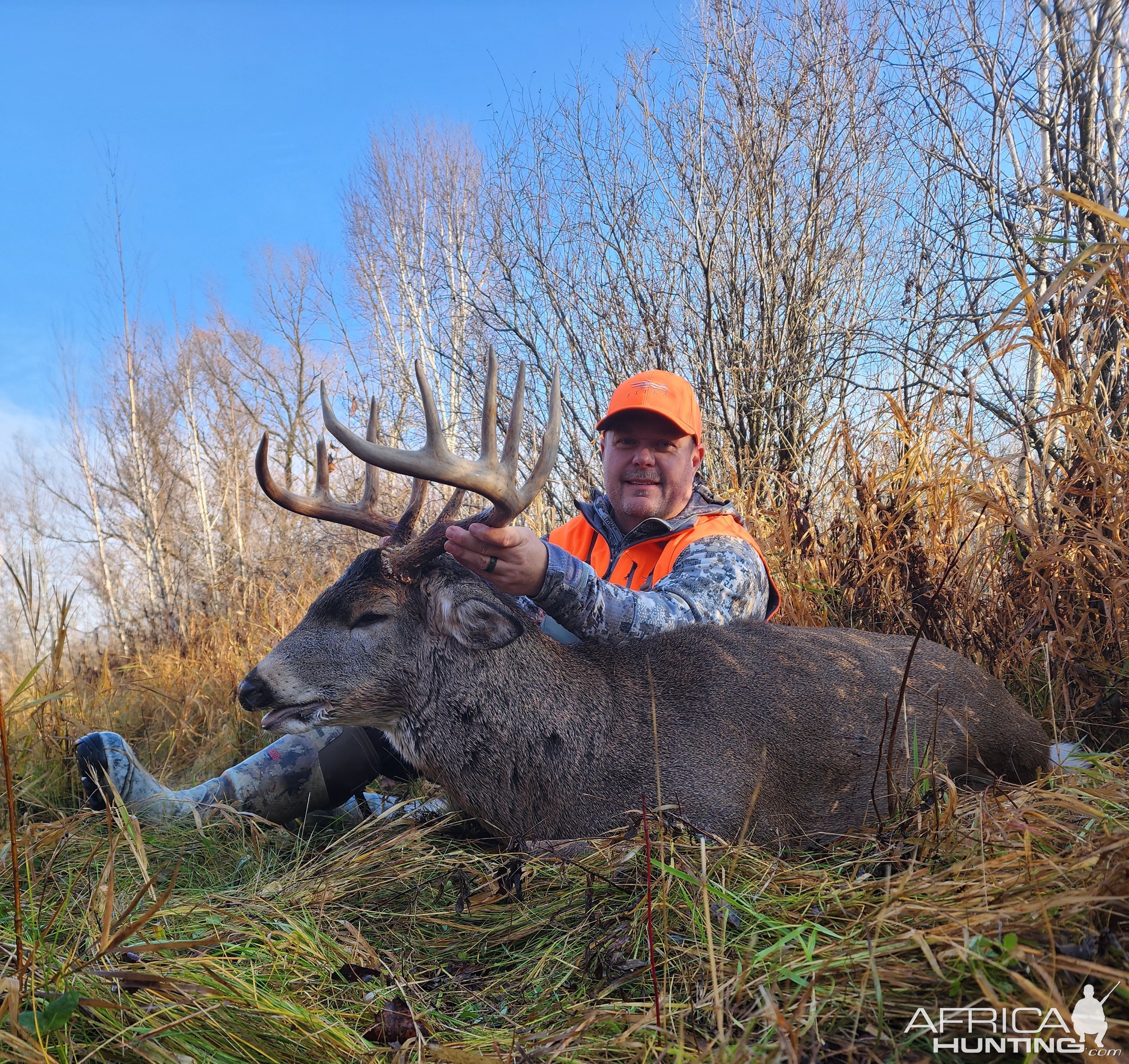 Whitetail Deer Hunt Minnesota