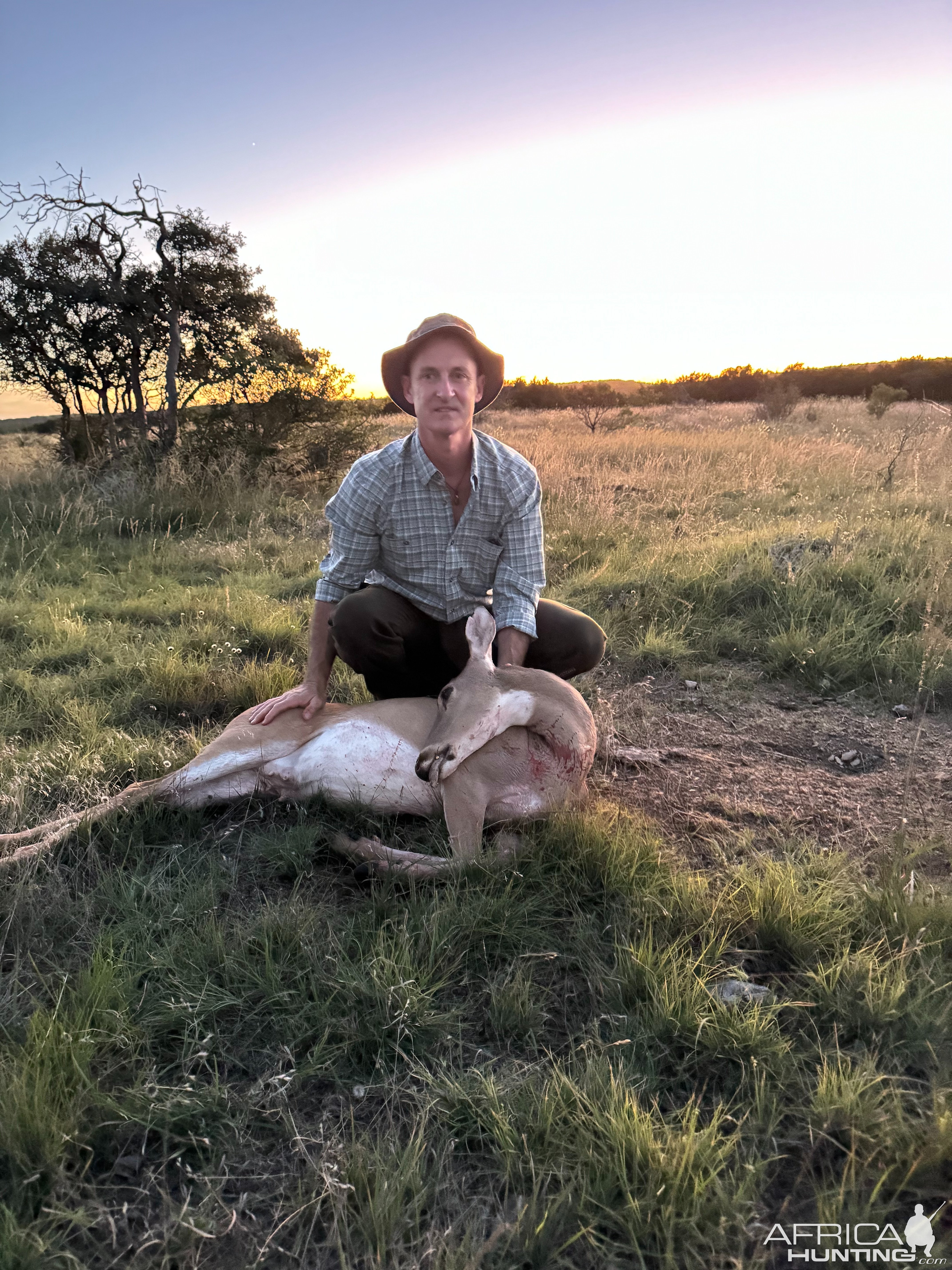 Whitetail Deer Hunt Texas