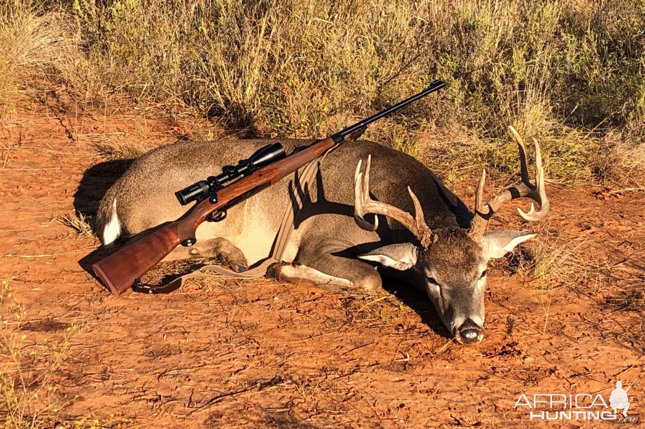 Whitetail Deer Hunt