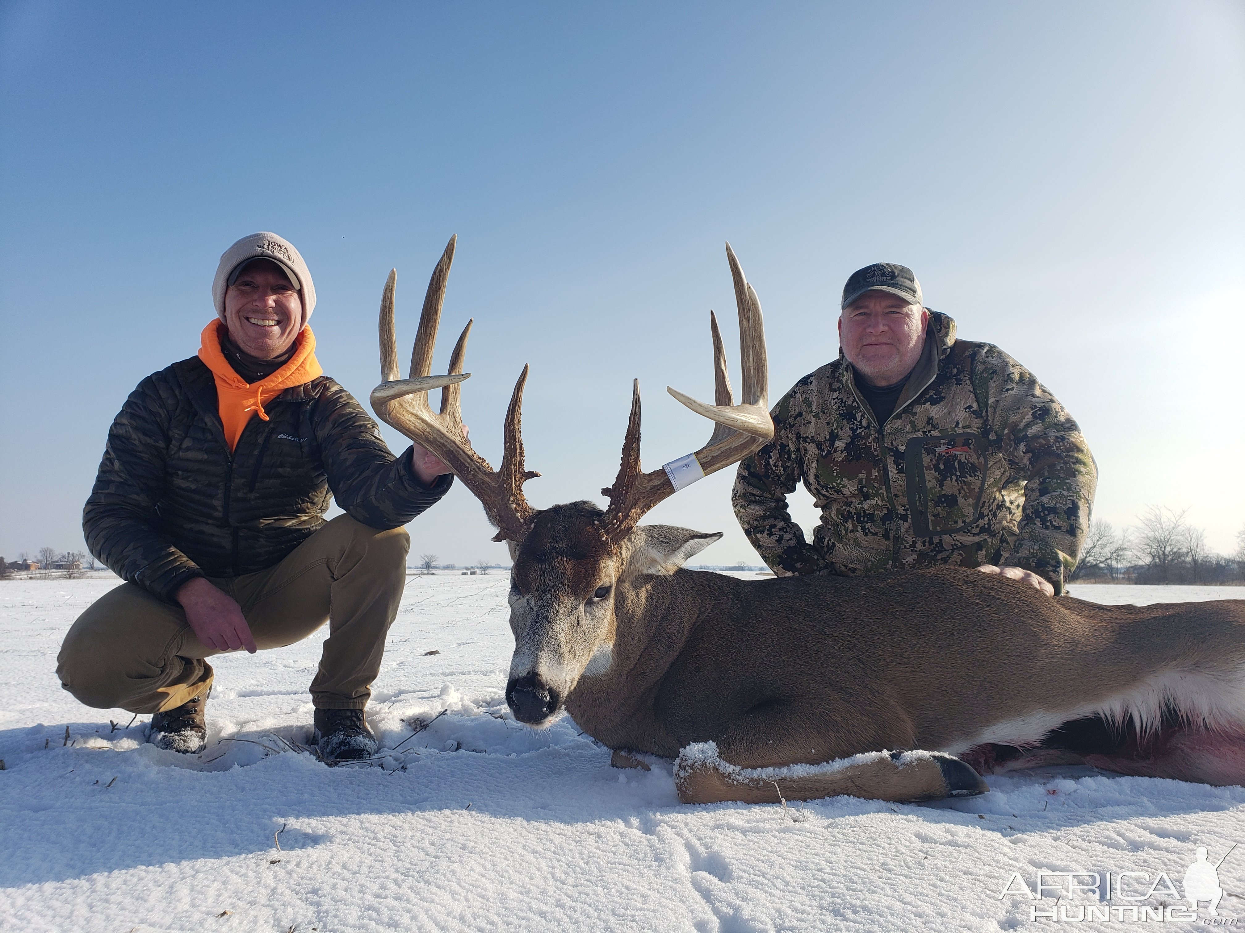 Whitetail Deer Hunting Iowa