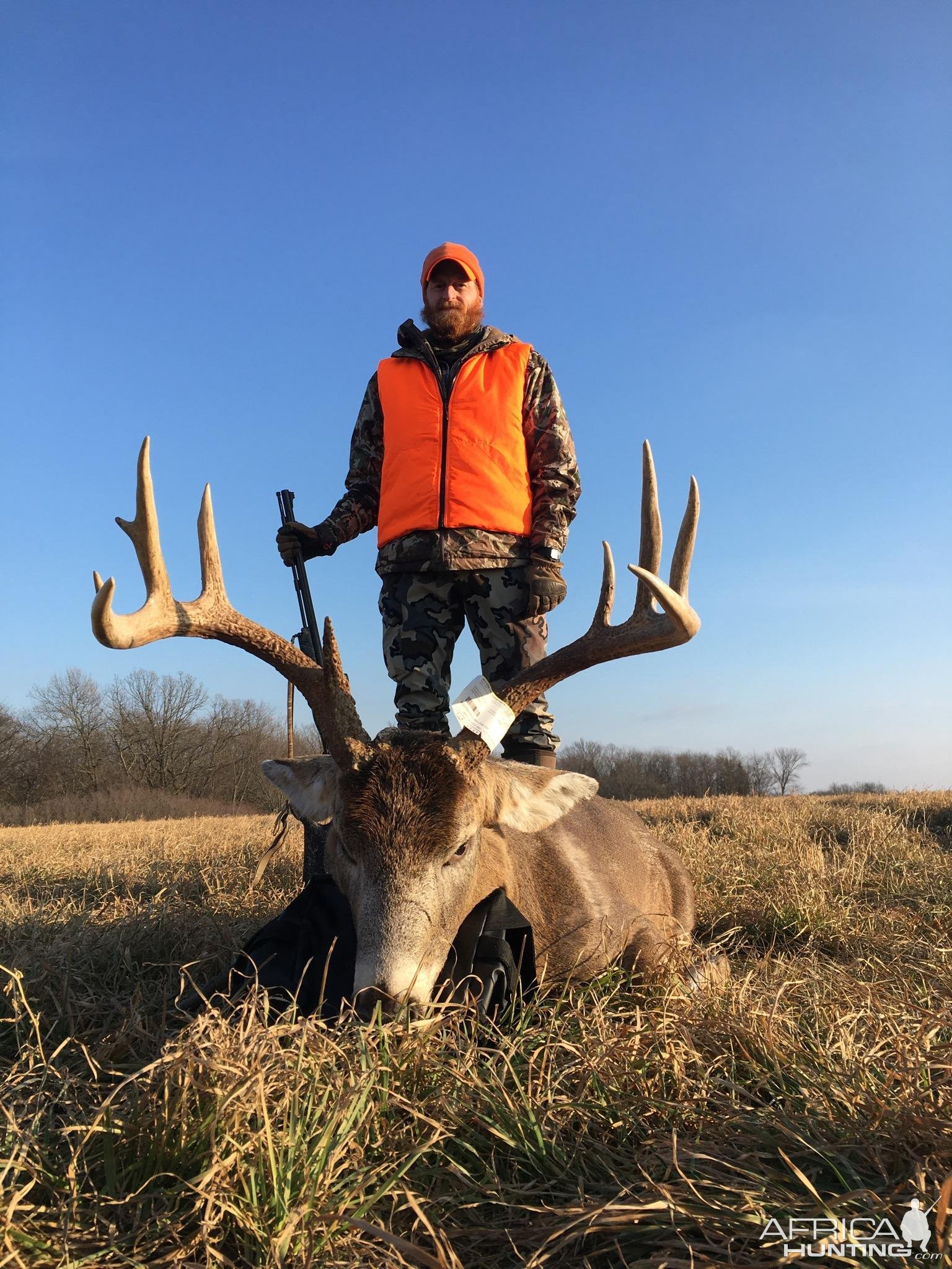 Whitetail Deer Hunting Iowa