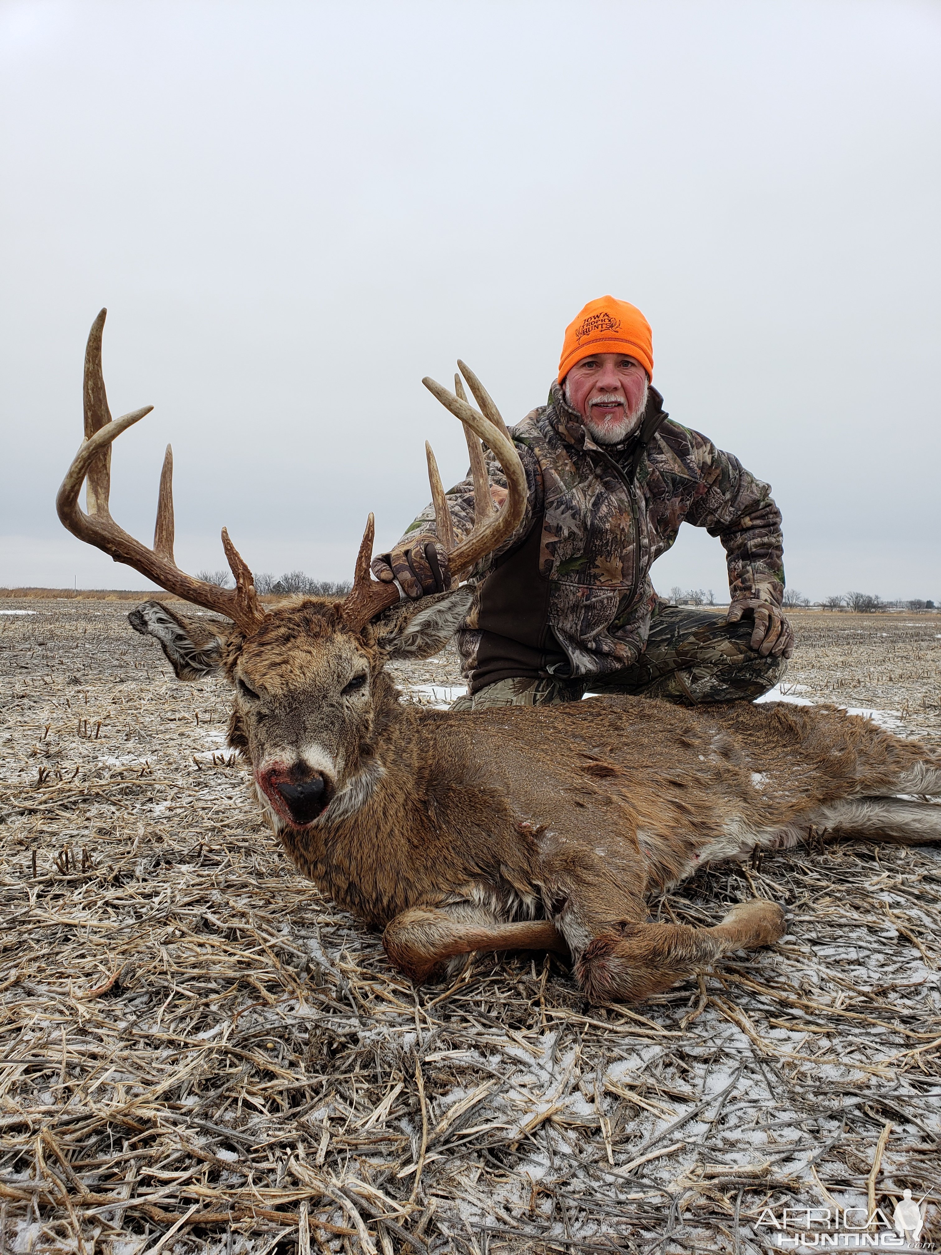 Whitetail Deer Hunting Iowa