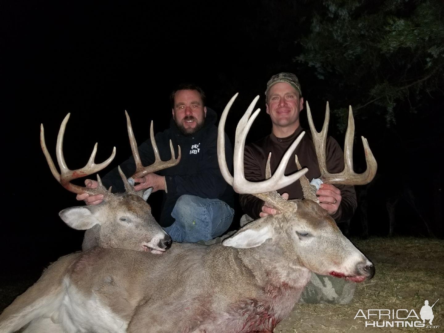 Whitetail Deer Hunting Iowa