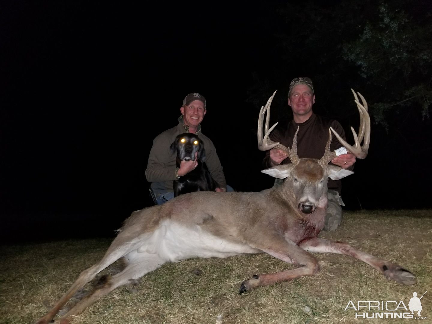 Whitetail Deer Hunting Iowa