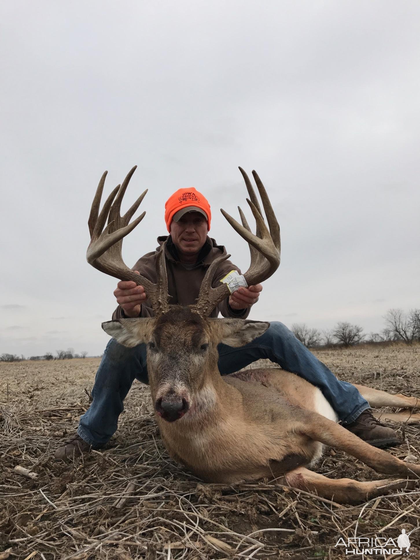 Whitetail Deer Hunting Iowa