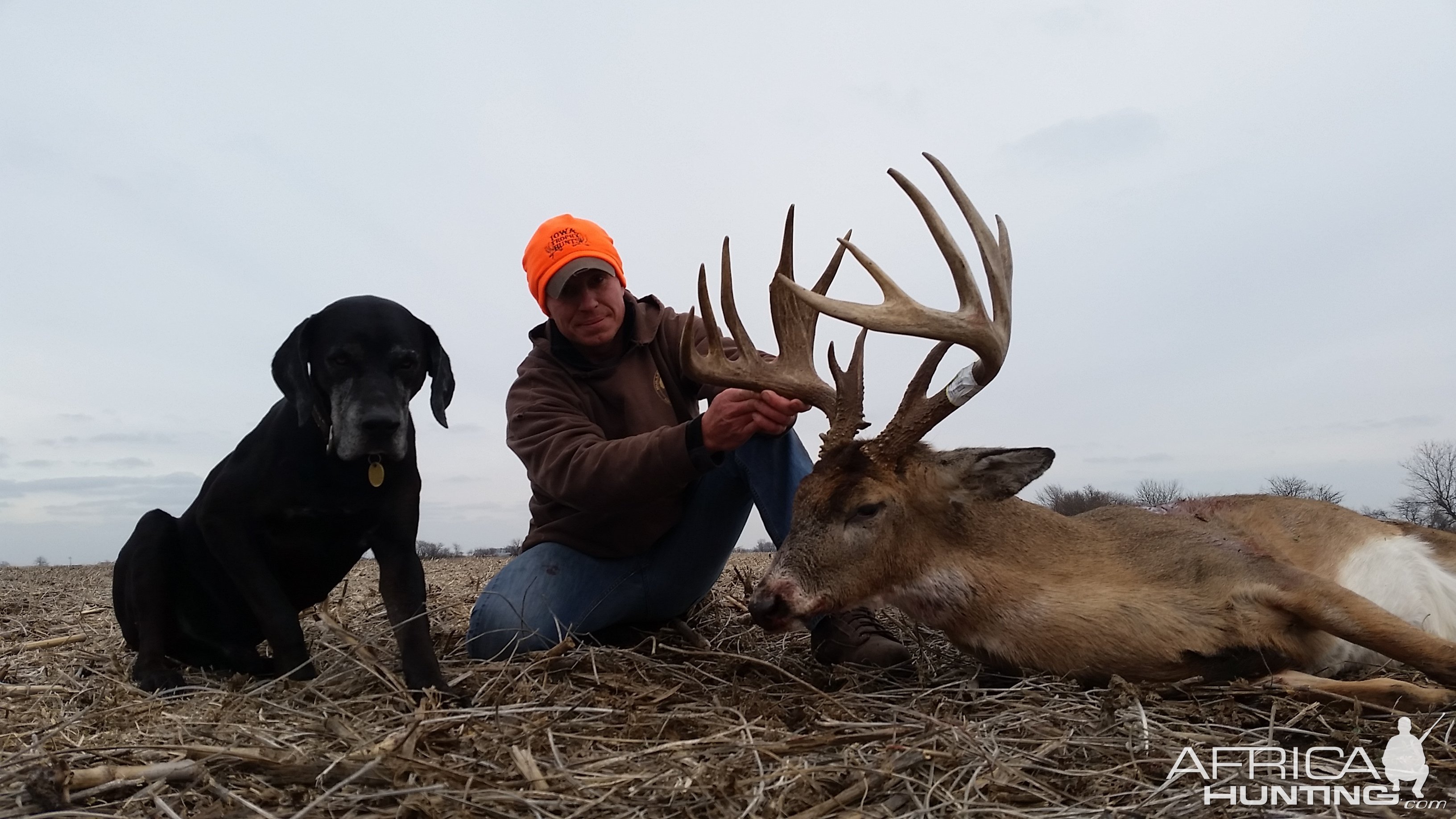 Whitetail Deer Hunting Iowa