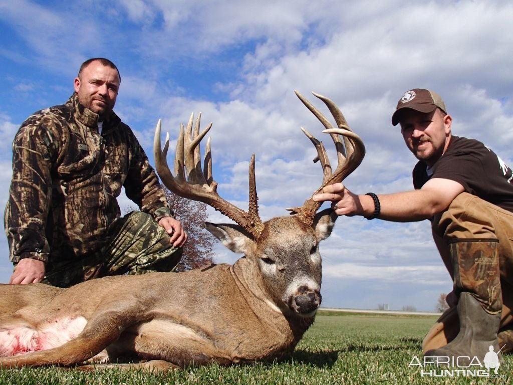 Whitetail Deer Hunting Iowa