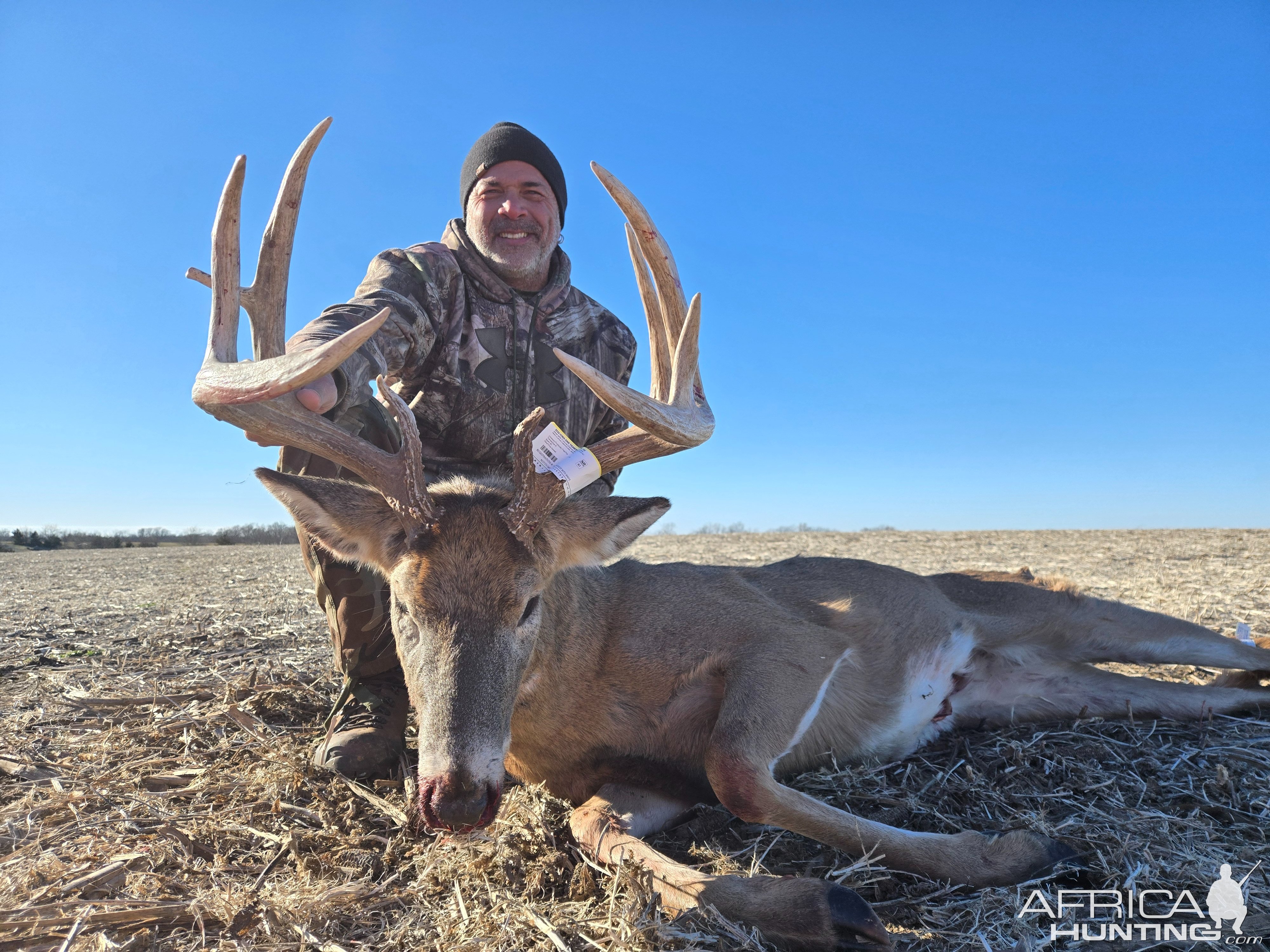 Whitetail Deer Hunting Iowa