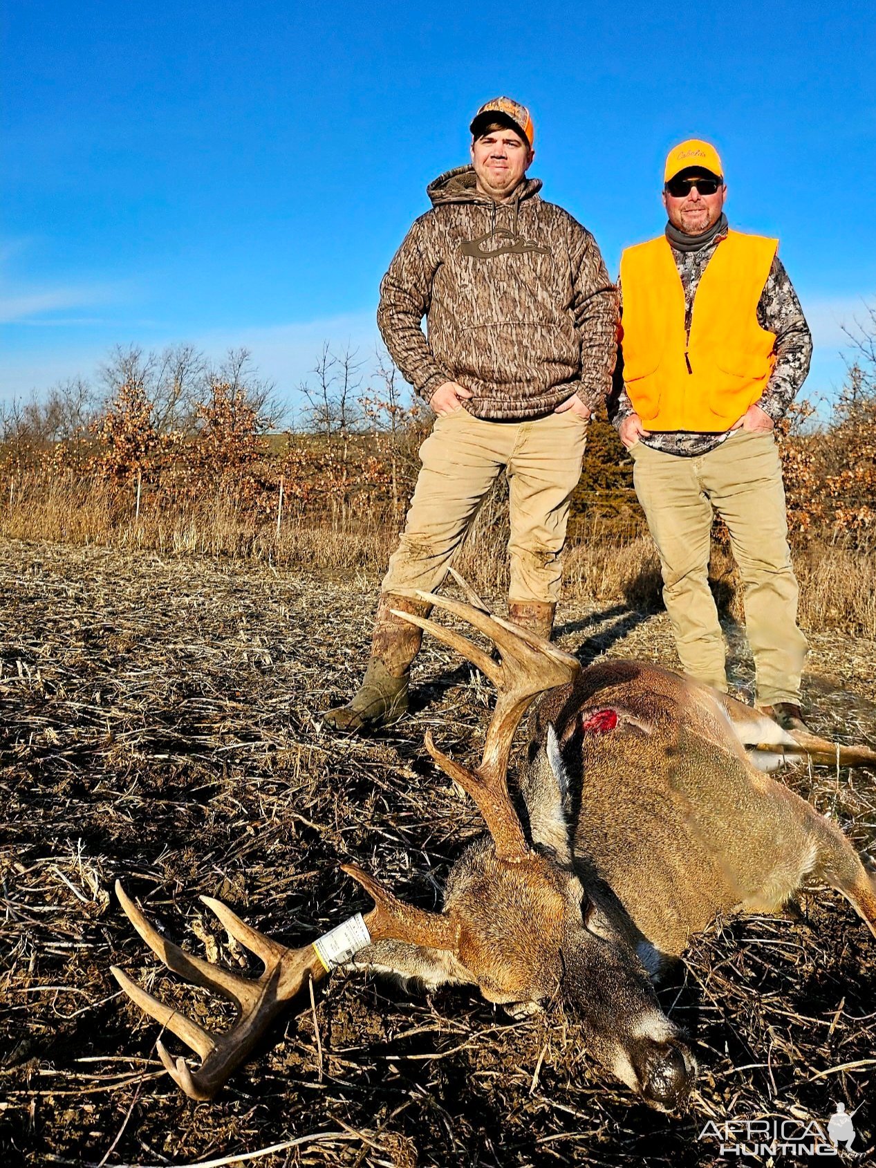 Whitetail Deer Hunting Iowa