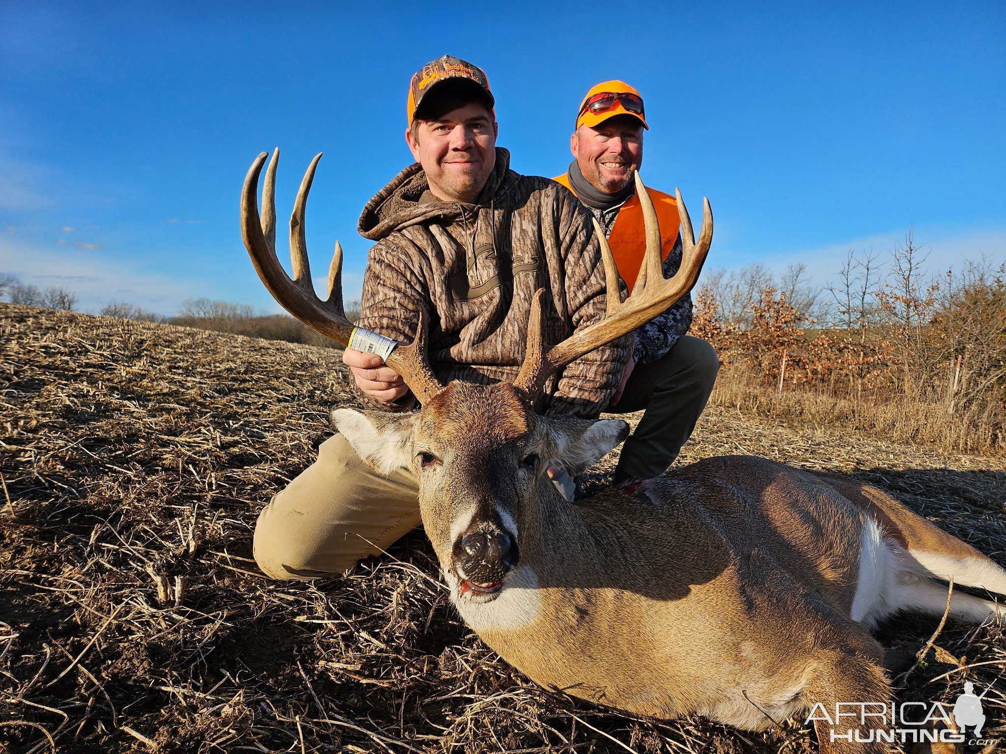 Whitetail Deer Hunting Iowa