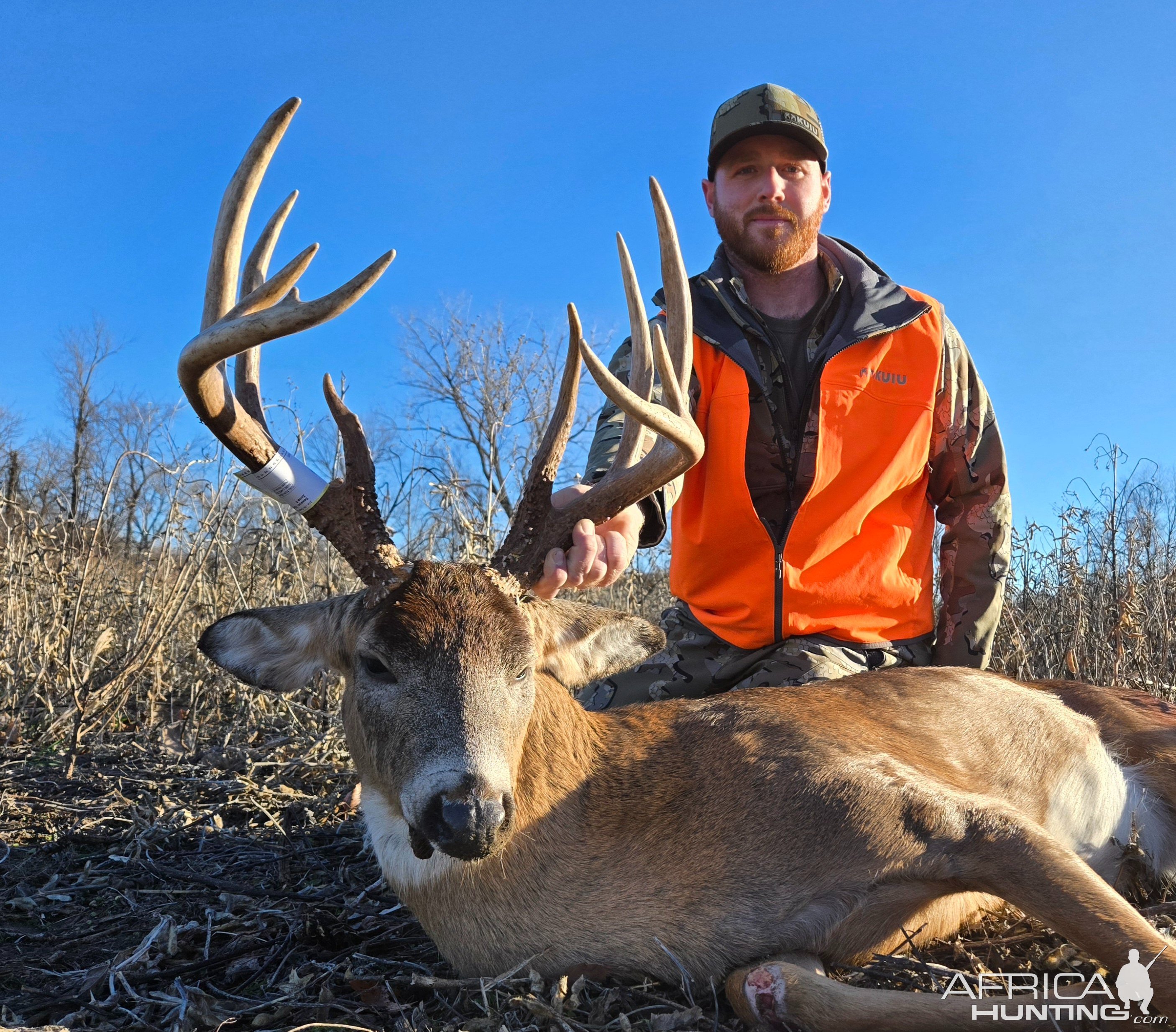 Whitetail Deer Hunting Iowa