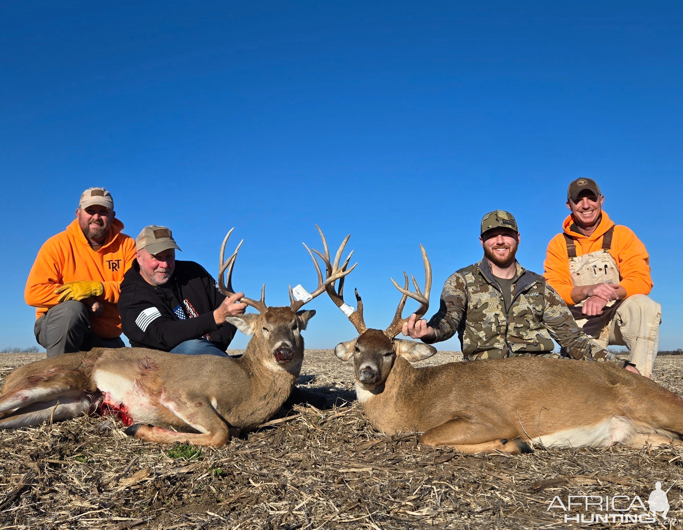 Whitetail Deer Hunting Iowa