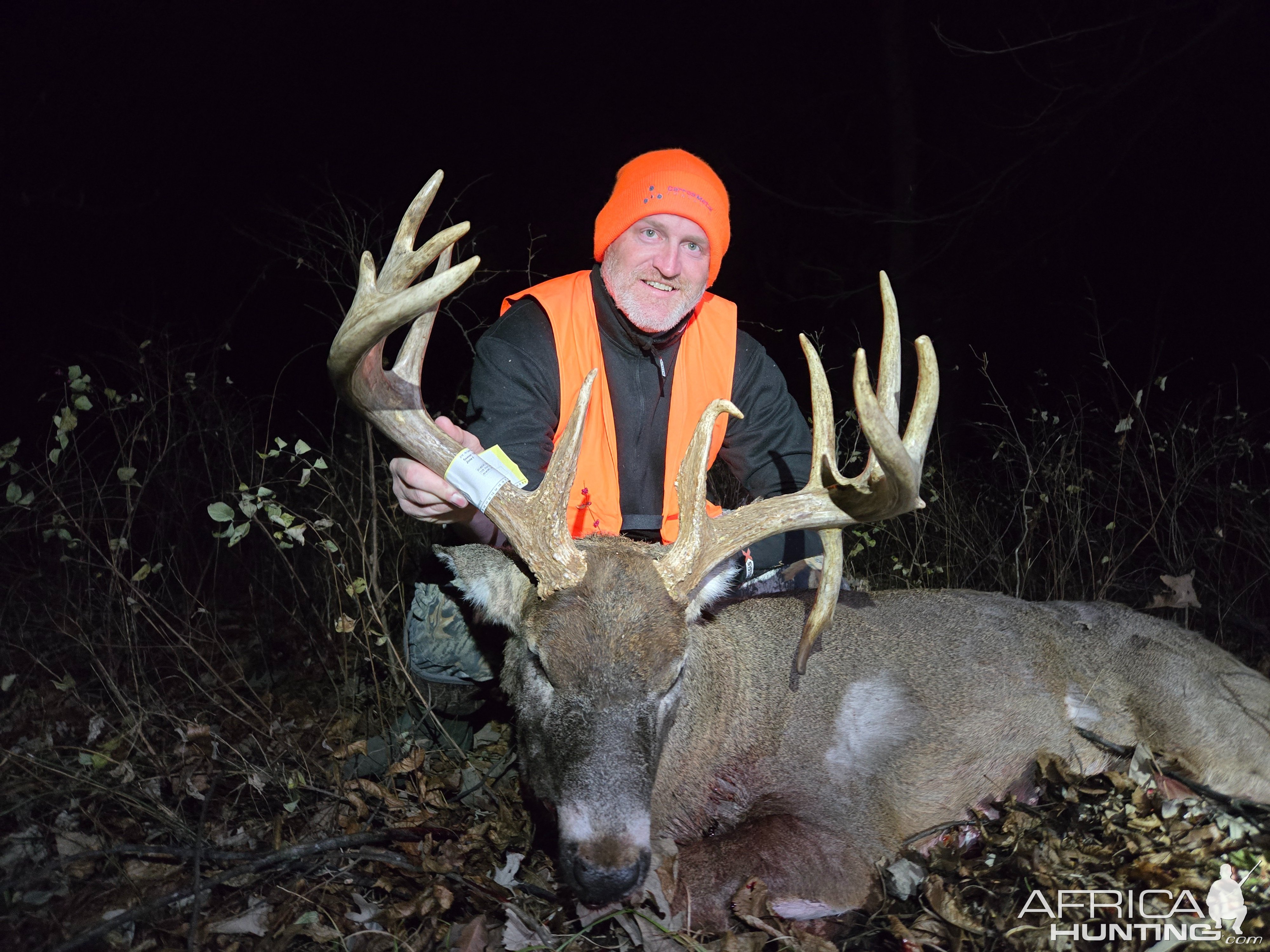 Whitetail Deer Hunting Iowa