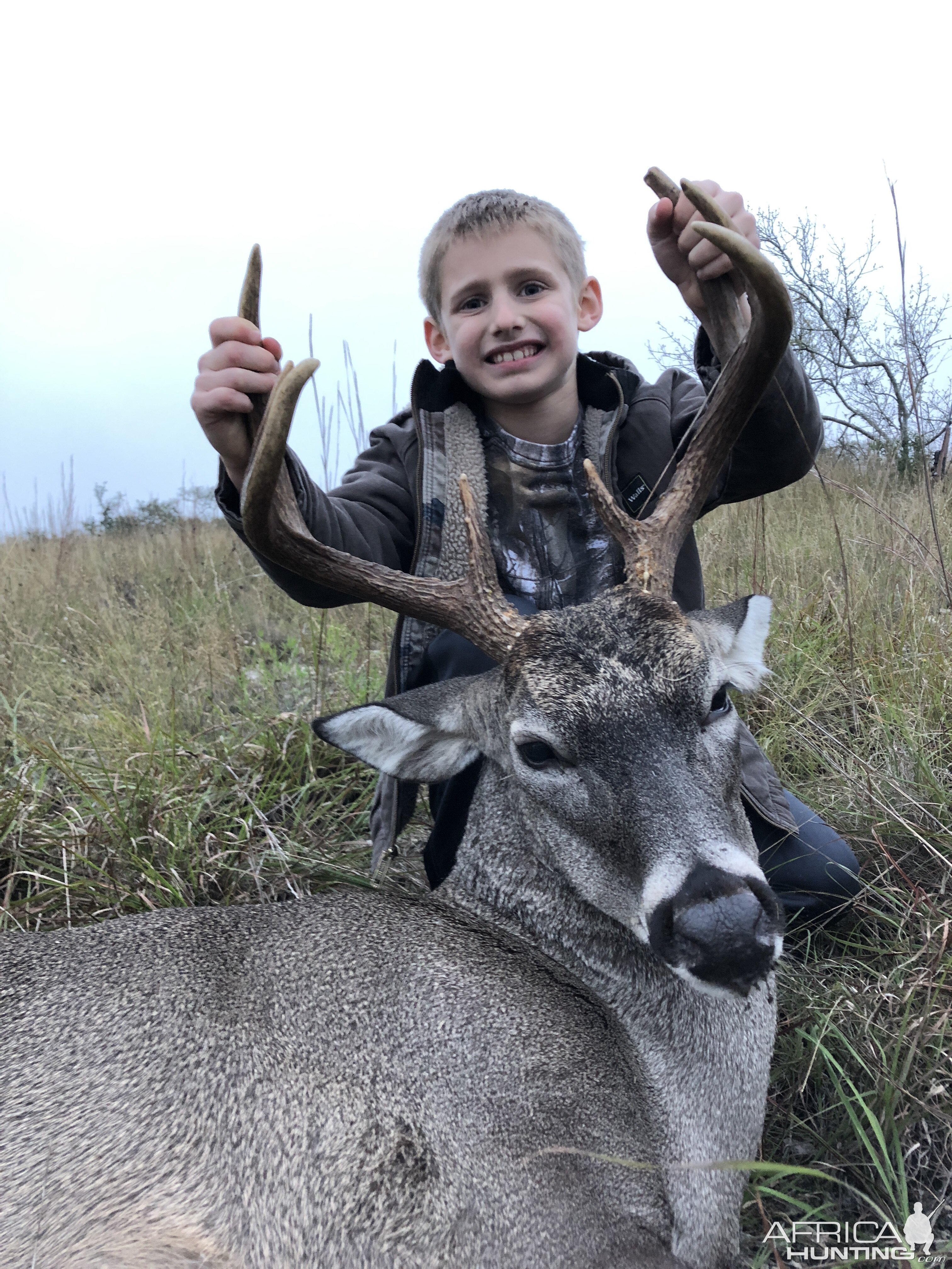 Whitetail Deer Hunting Texas USA