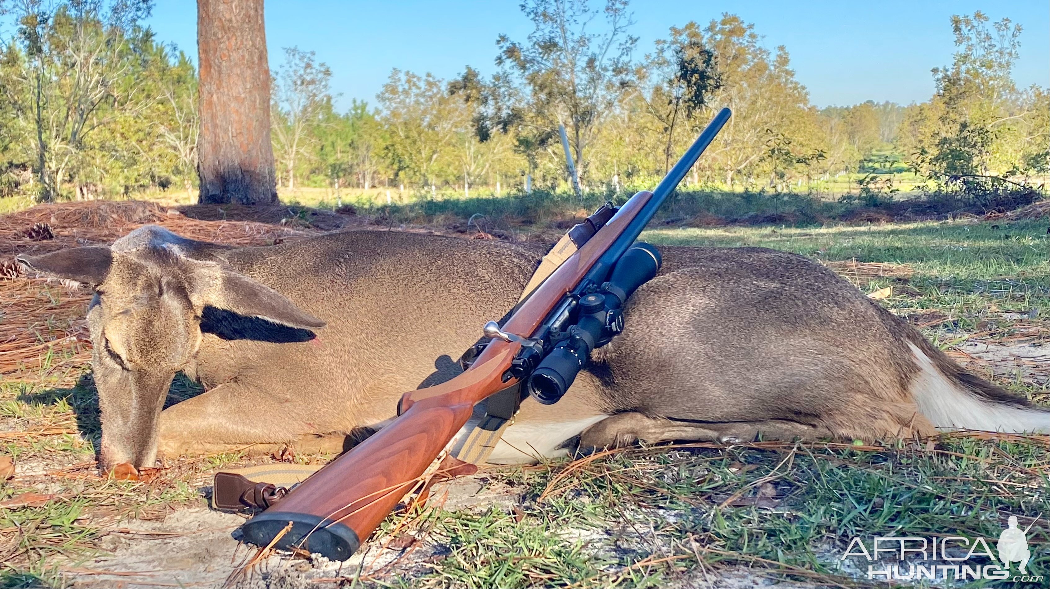 Whitetail Doe Hunting