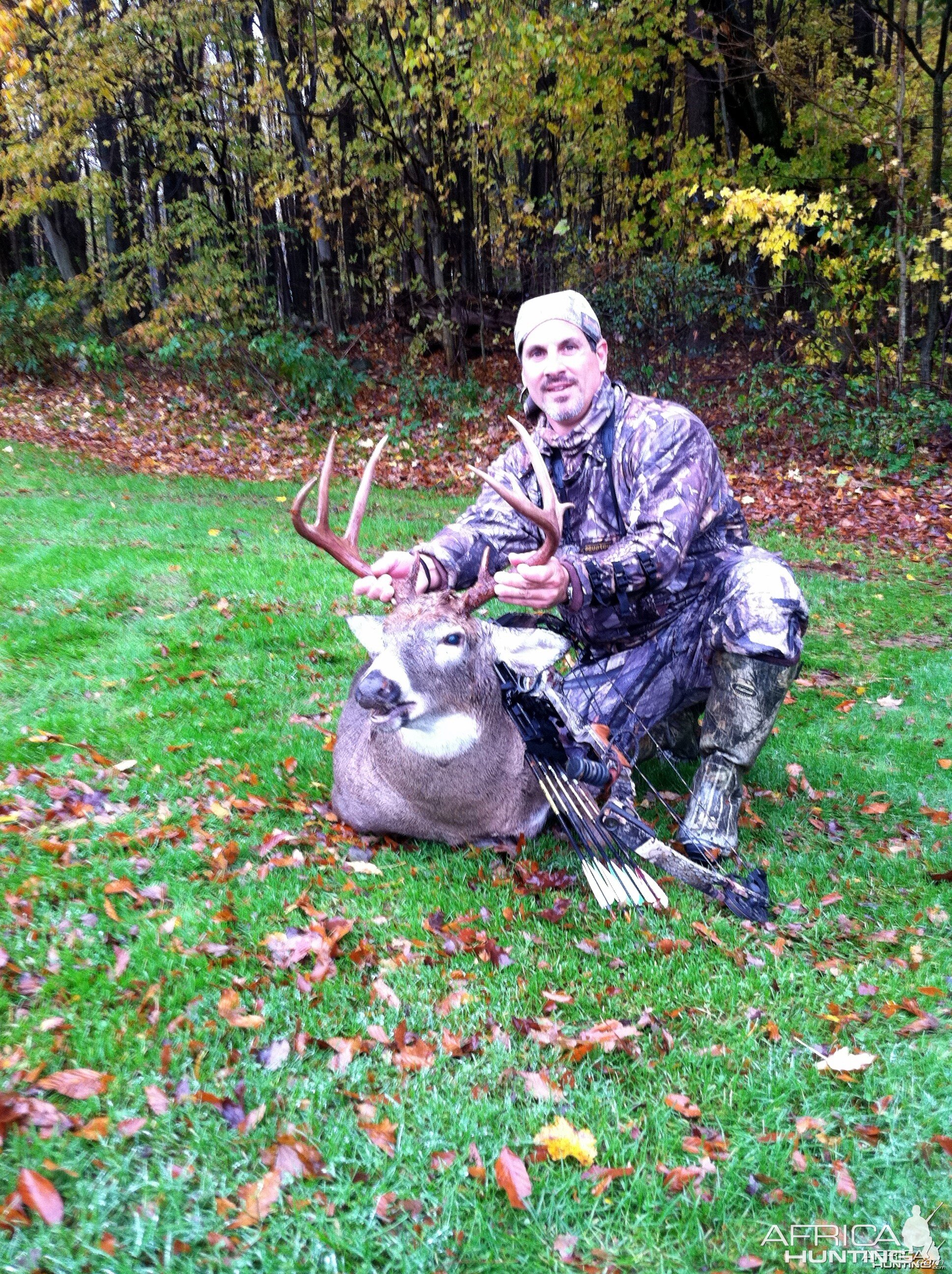 Whitetail NY Bow 10pt