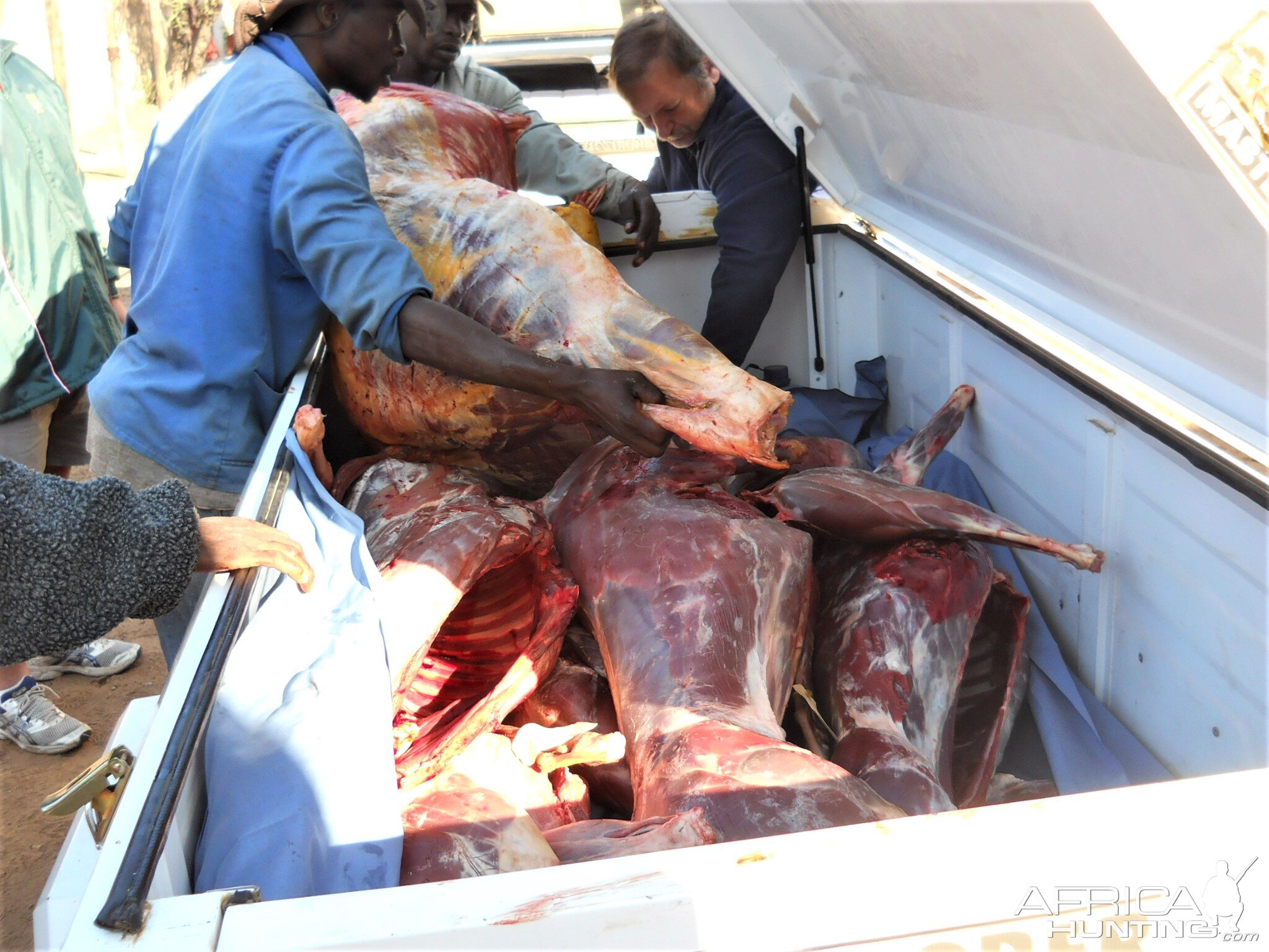 Wild animal meat delivered to the locals