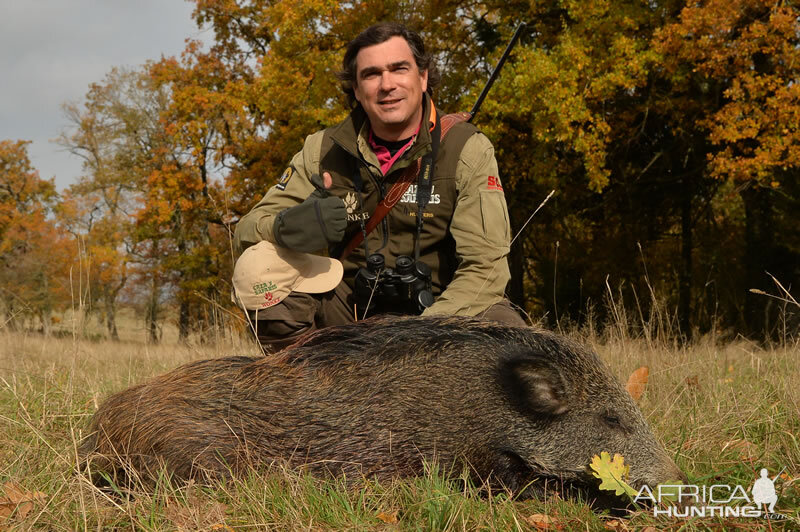 Wild Boar Hunt France