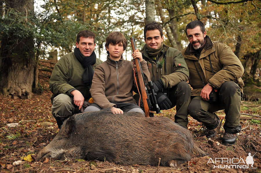 Wild Boar Hunt in France